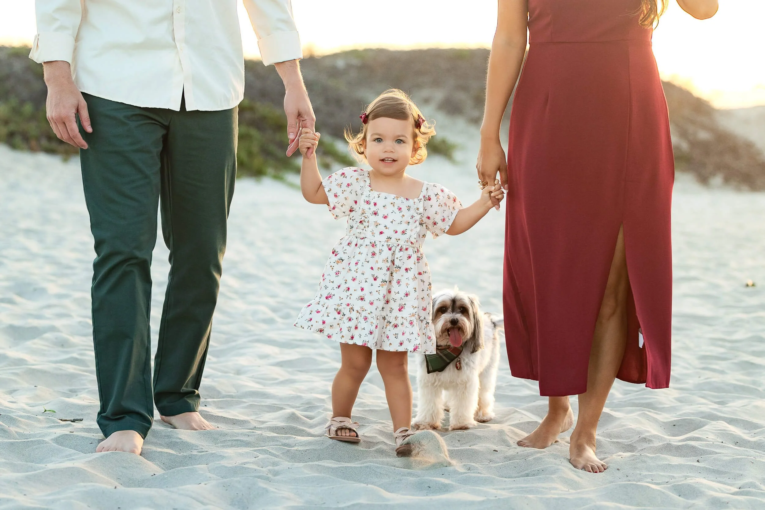 A family walking on the beach during sunset, holding hands with a young girl and her dog.