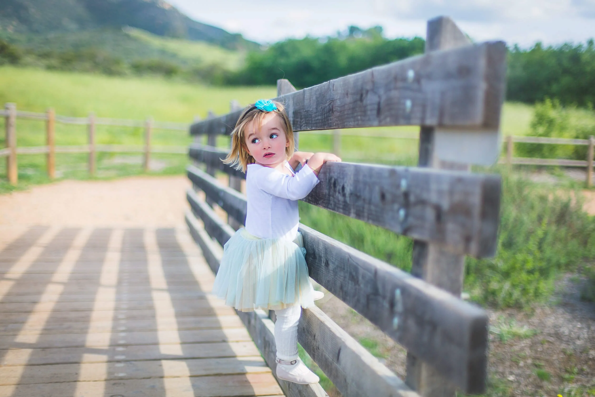 Young girl with blonde hair, wearing a light blue bow, white shirt, pastel-colored tulle skirt, and white shoes, holding onto a wooden fence on a sunny day in a green, rural landscape.