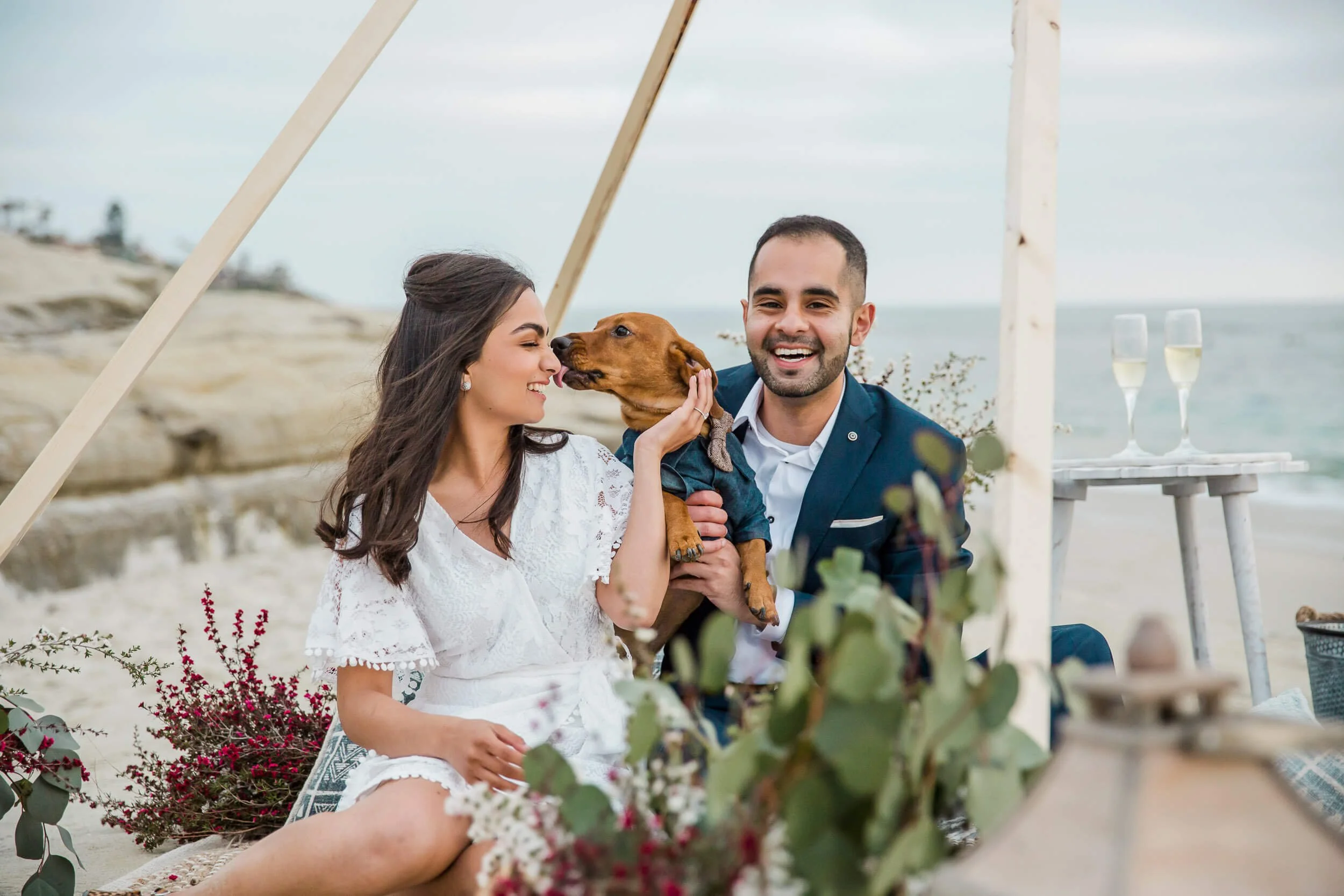 A happy couple with a dog at a beachside celebration, smiling and sharing a moment.