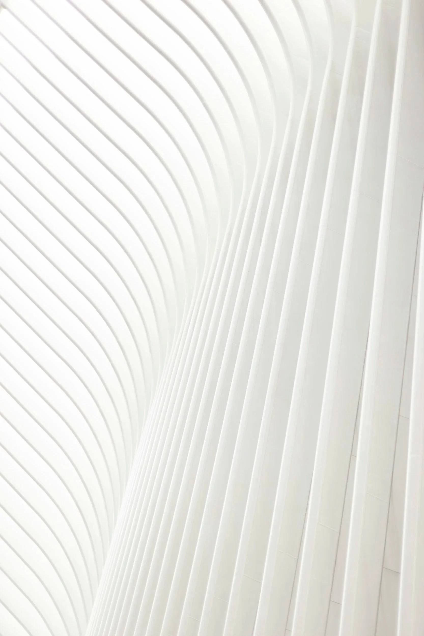 Close-up of a white wall with curved, parallel lines creating a modern, abstract pattern.