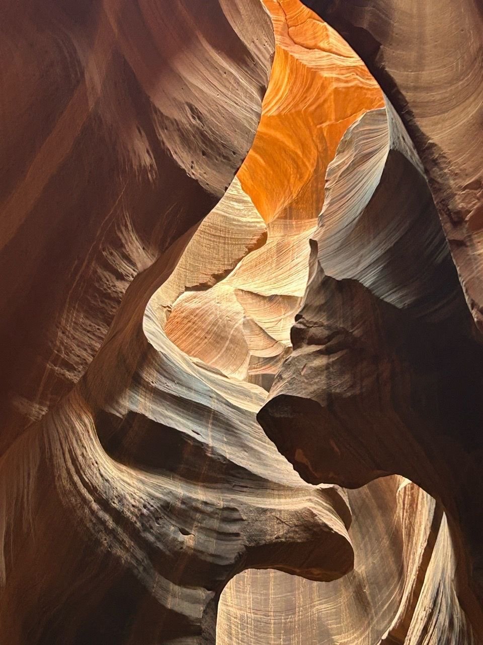 The dark swirls combined with the light creeping in from above made me think of ice cream. 
[Lower Antelope Canyon, Arizona].