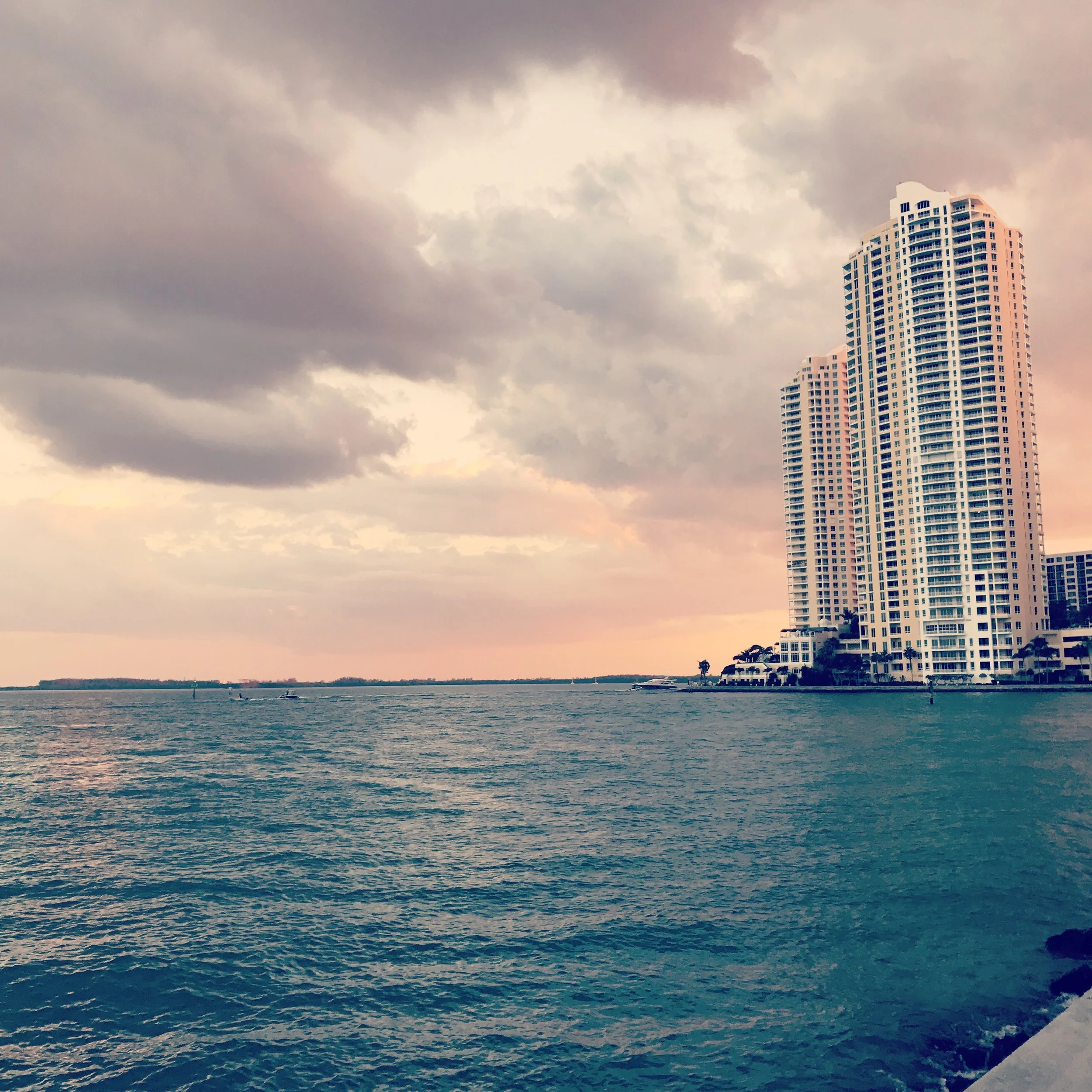Taken on one of my sunset walks. I looked into the water and saw a manatee looking at me with soft eyes. [Miami, FL].