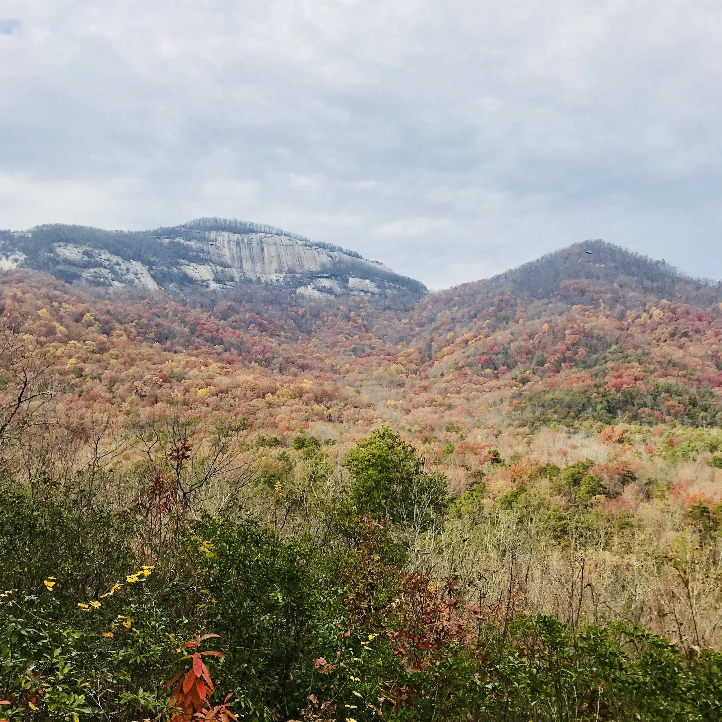 Ah, the fall colors. This was taken in October with Halloween nearing the bend. Pumpkin Spice, anyone? [Table Rock, SC].