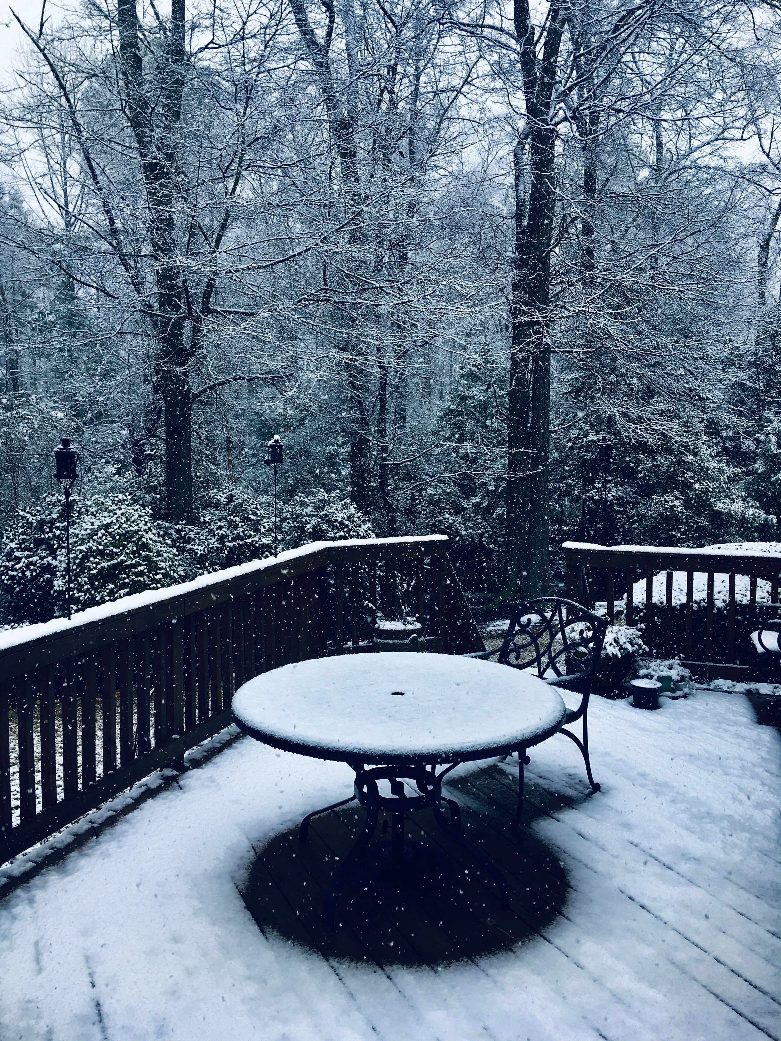 Snapping this while drinking coffee reminded me of a Harry Potter Christmas. [Simpsonville, SC].
