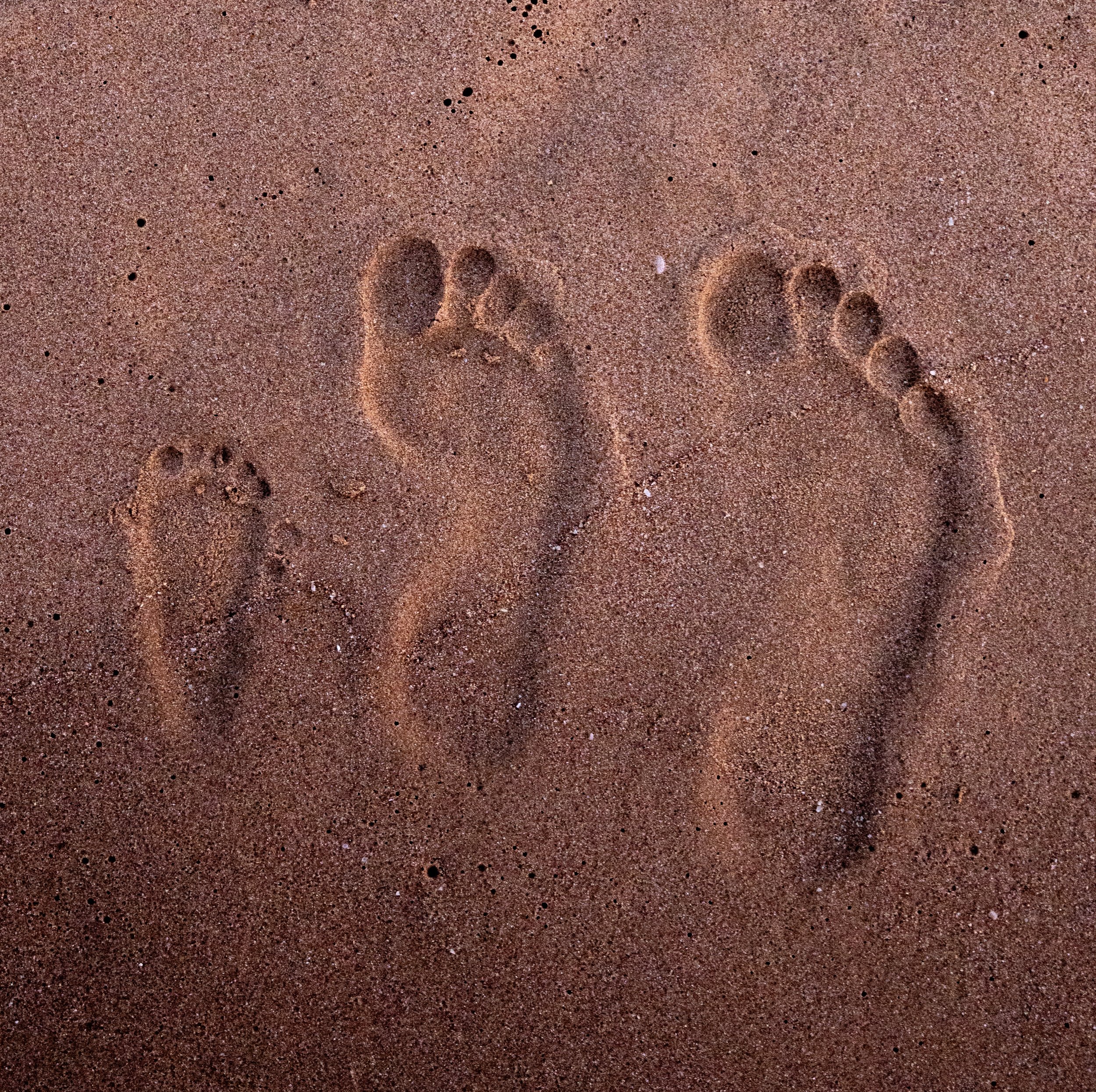 Two sets of footprints in the sand at the beach.