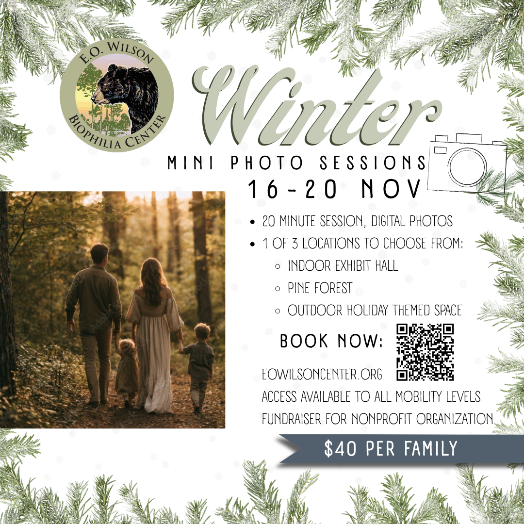 Winter Mini Photo Sessions