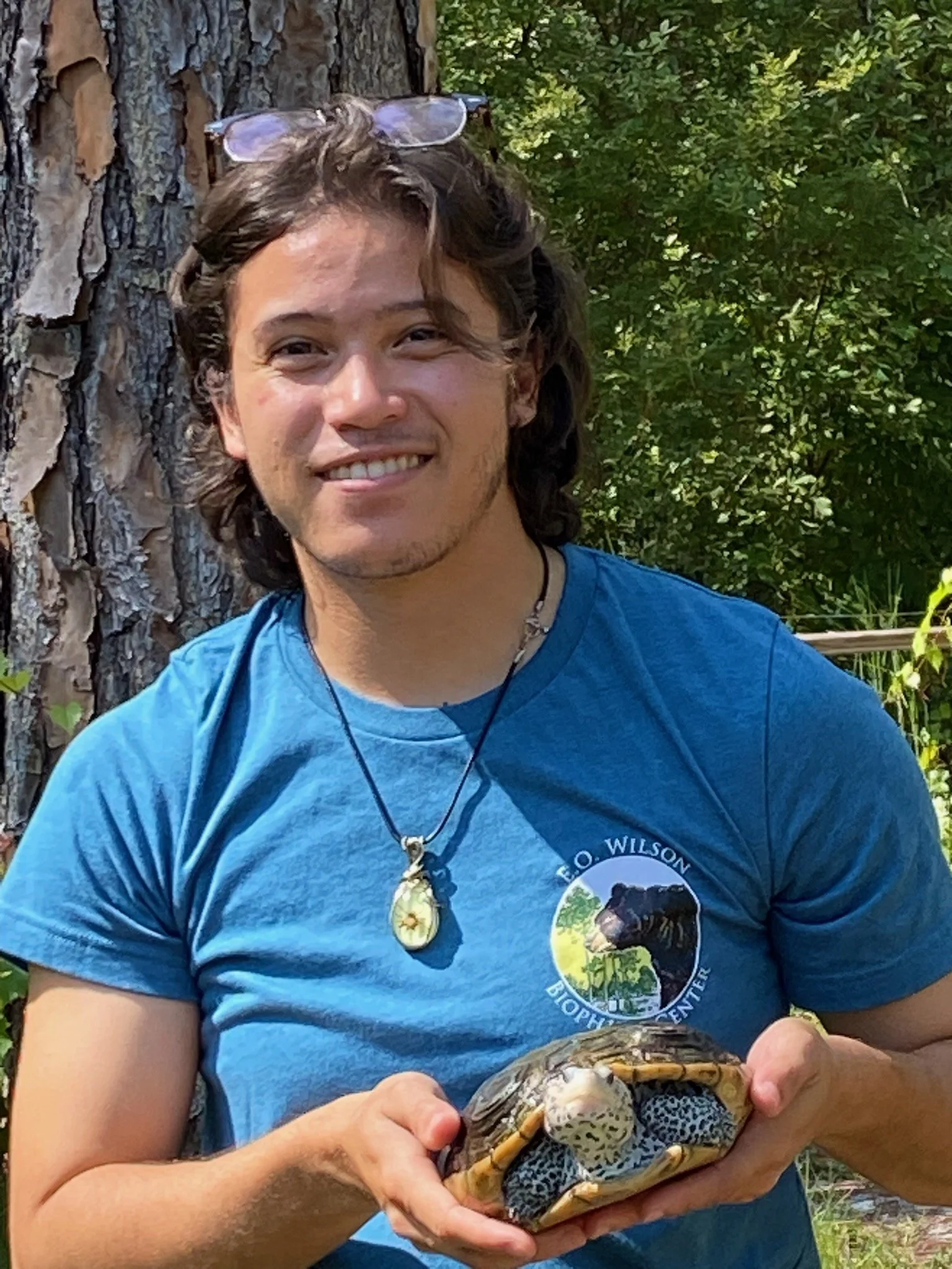 E.O. Wilson Biophilia Center staff member smiling outdoors while holding a Florida box turtle, wearing a blue Biophilia Center T-shirt, with pine trees and greenery in the background.