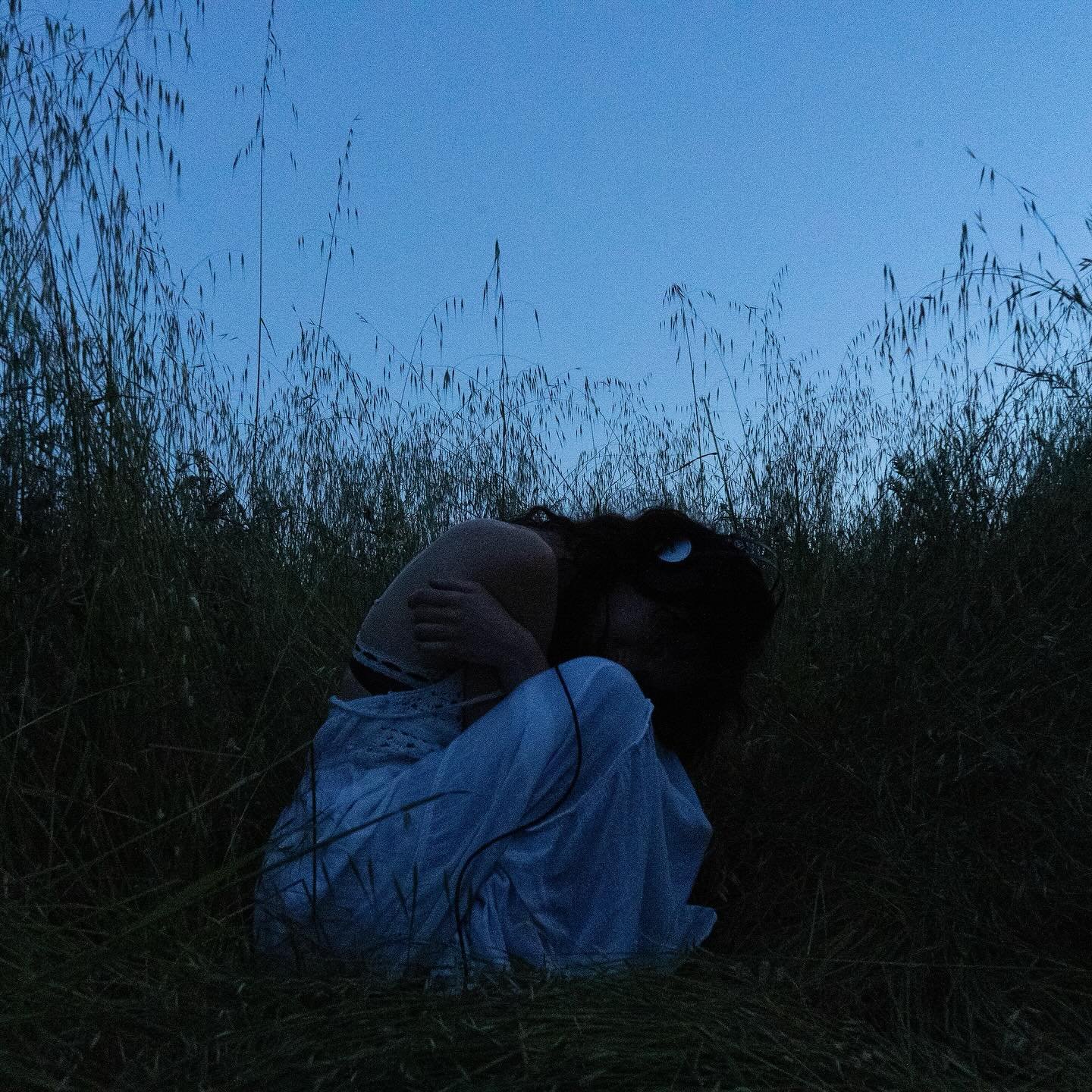 Desire Drives a Dull Knife
Out now everywhere on everything