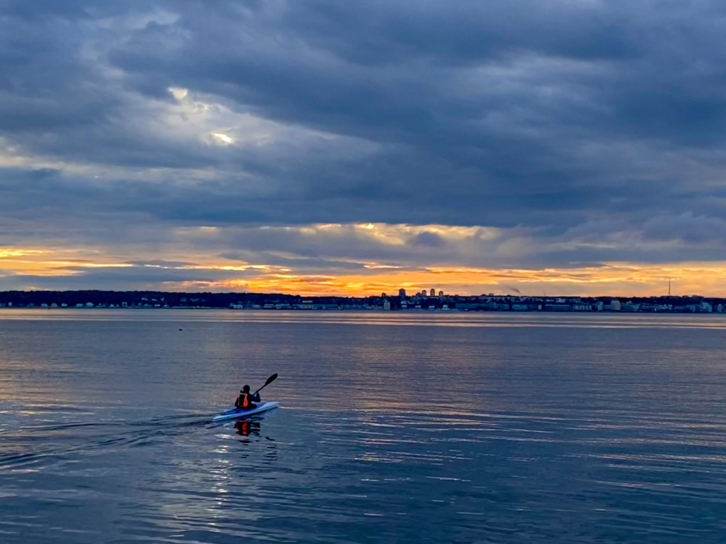 A senior executive navigating the organization's course toward the future.