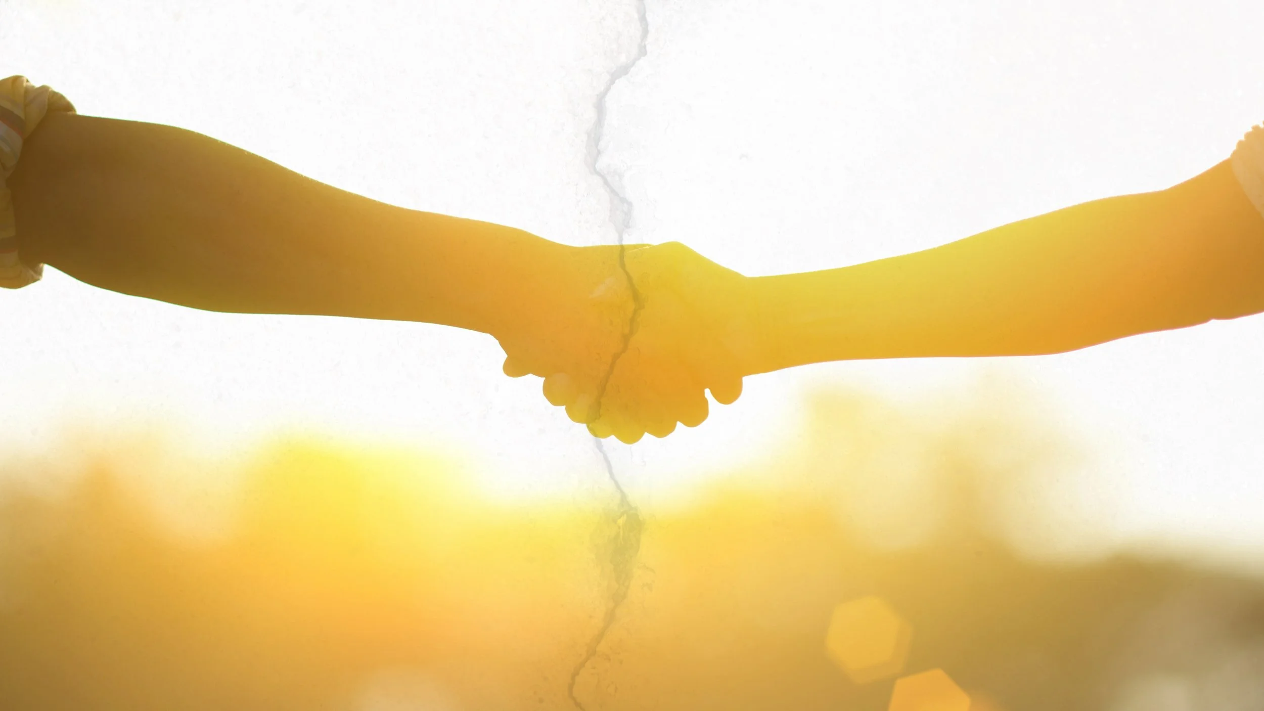 United or Divided? | When Being Right Just Might Be Wrong
