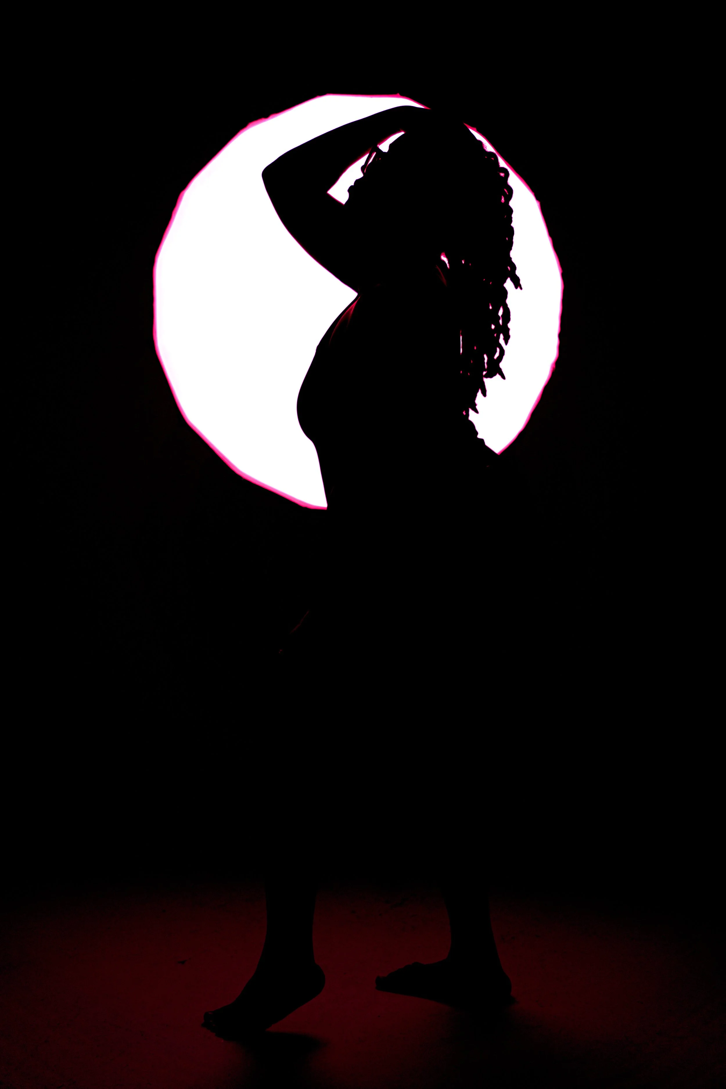 Penthouse Premium Package