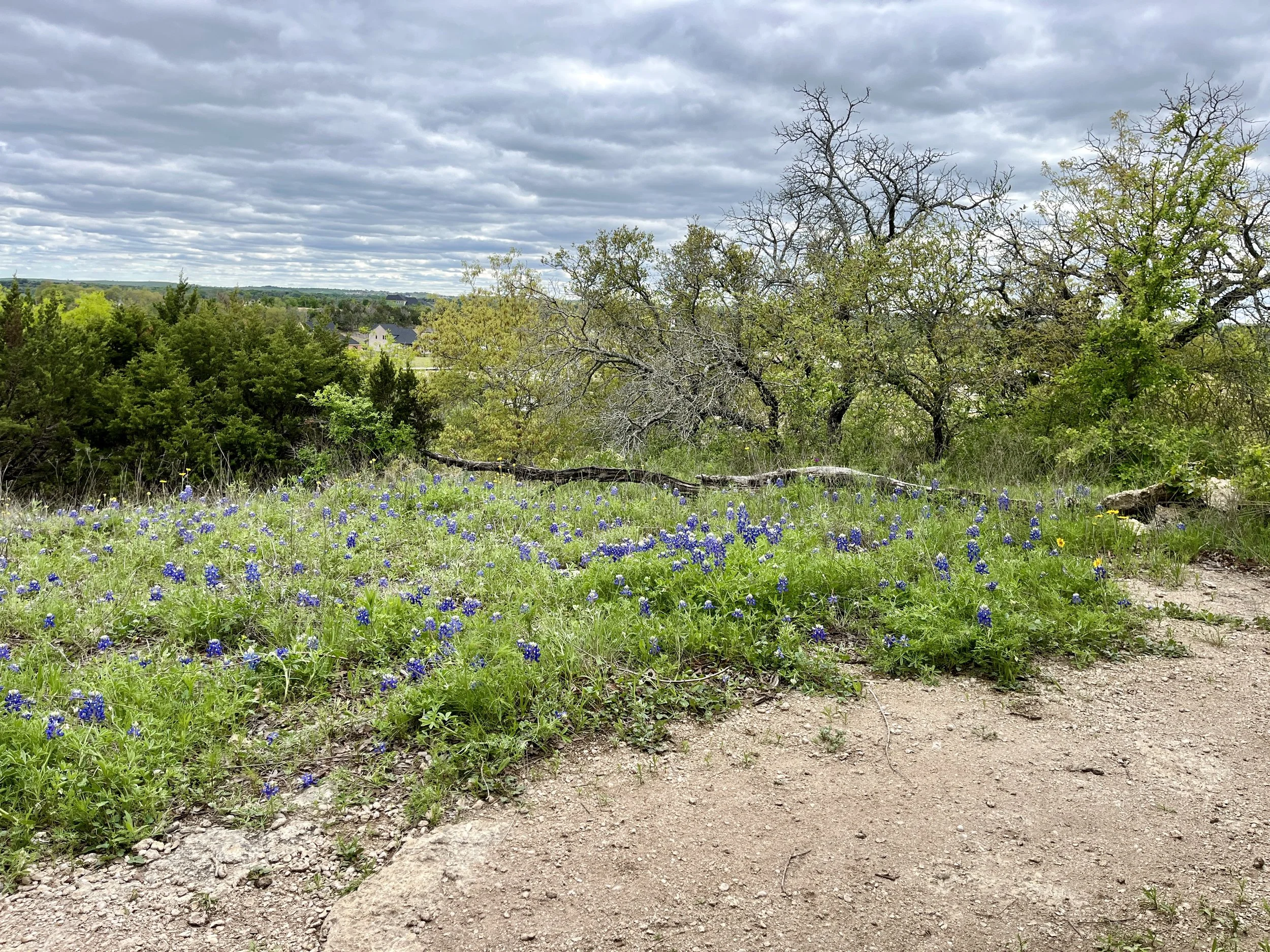 aledo-trails_53627540952_o.jpg