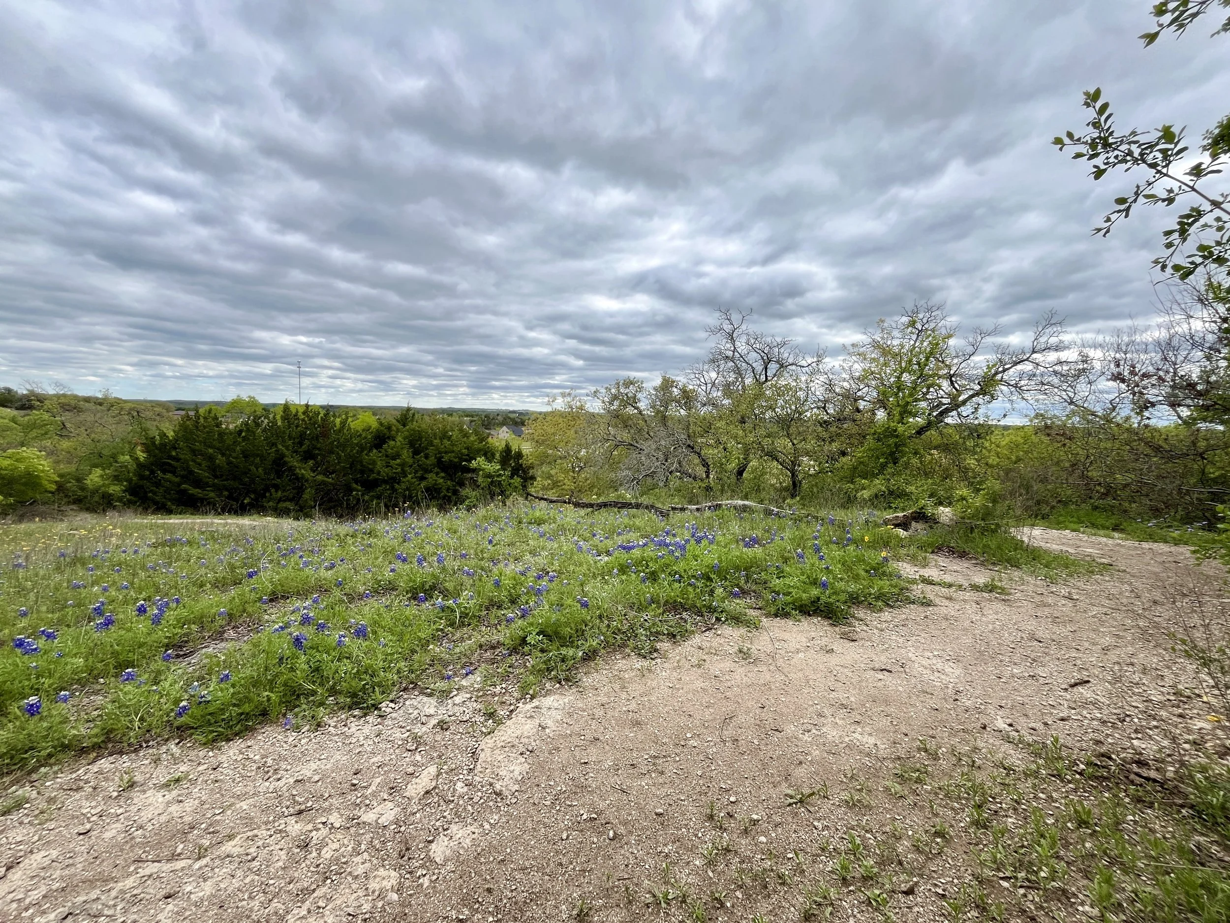 aledo-trails_53628764234_o.jpg