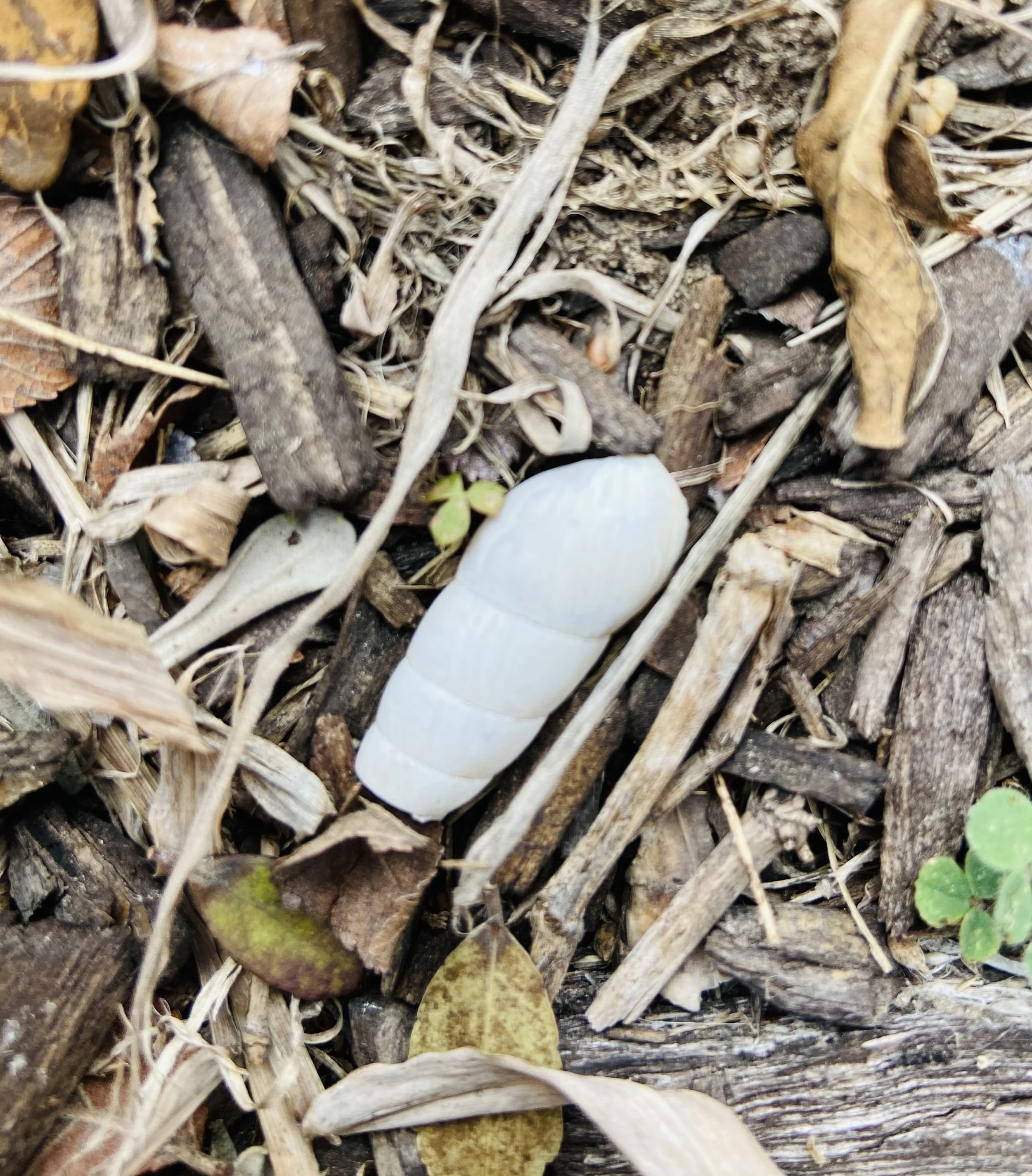 img_0963_53628875870_o.jpg