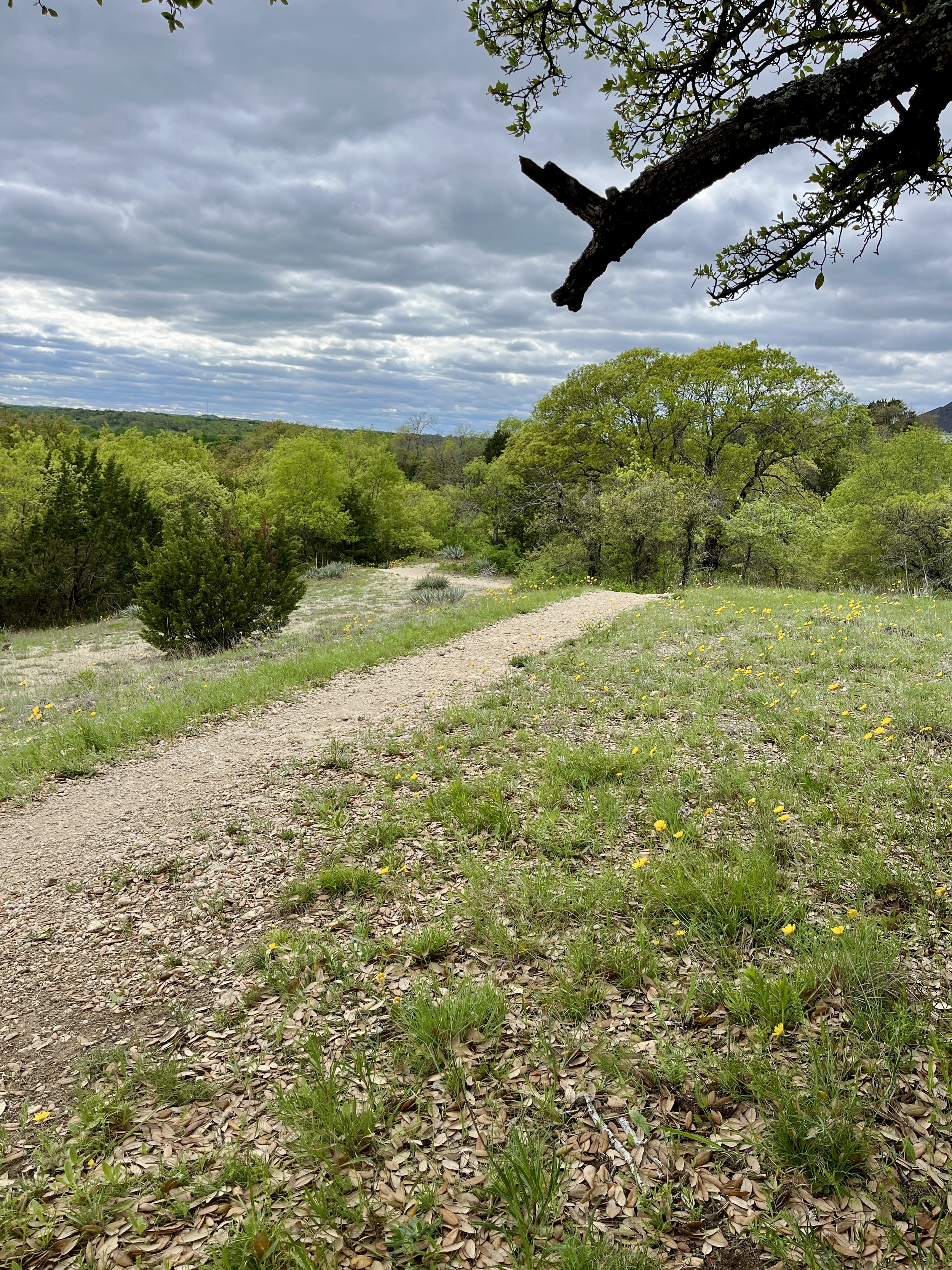 aledo-trails_53628764109_o.jpg