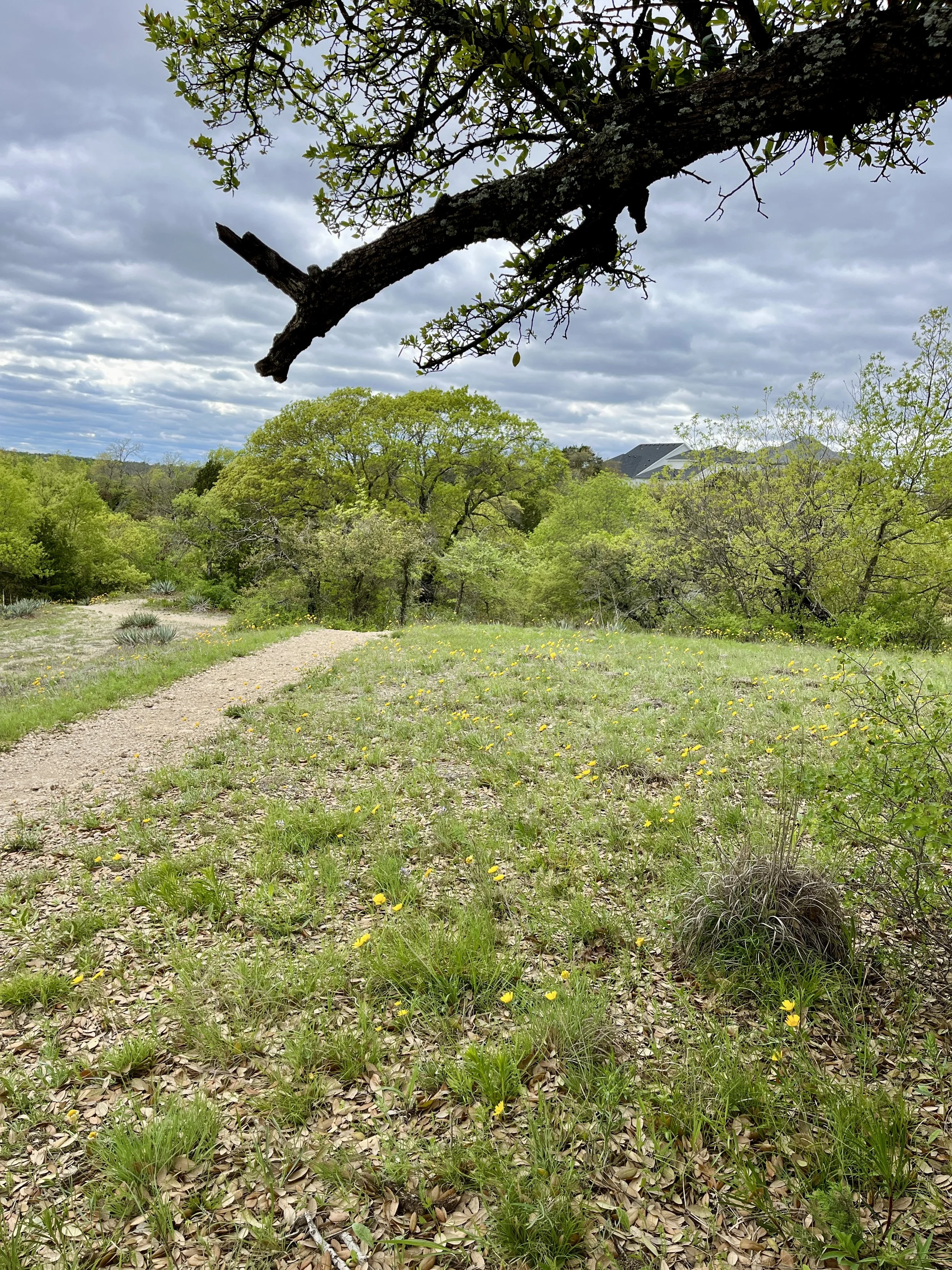 aledo-trails_53628875900_o.jpg