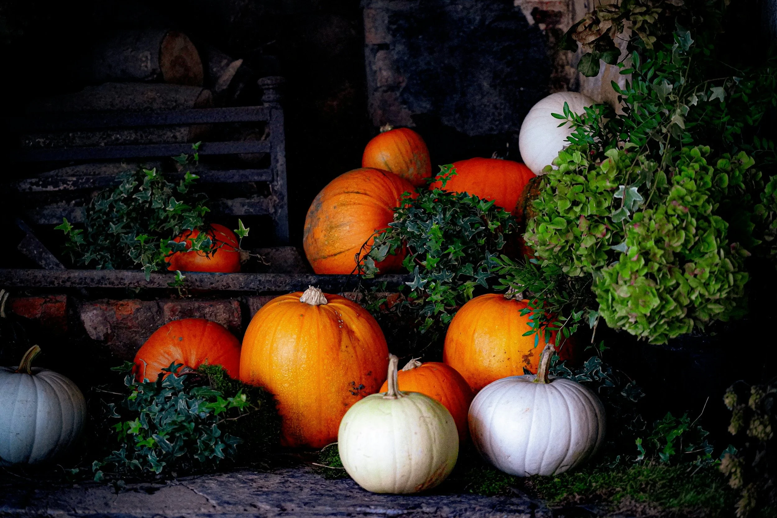 Month of Thankfulness