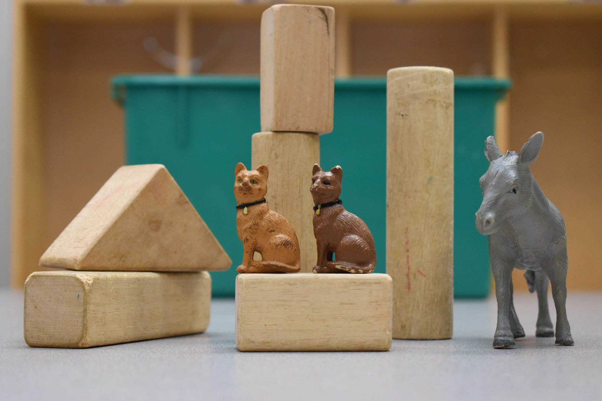 Various toy animal figures including two cats with black collars, a donkey, and wooden building blocks on a gray surface with a blue storage container in the background.