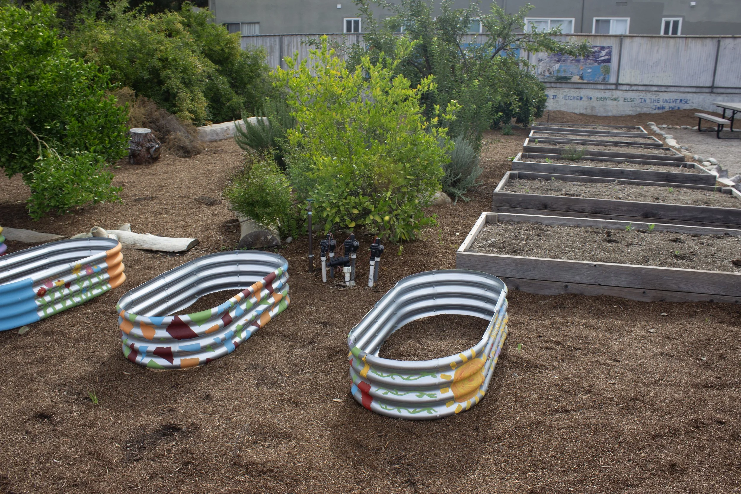 Small backyard garden area with three colorful children's plastic wading pools on dirt ground, surrounded by bushes, trees, and raised garden beds with soil.
