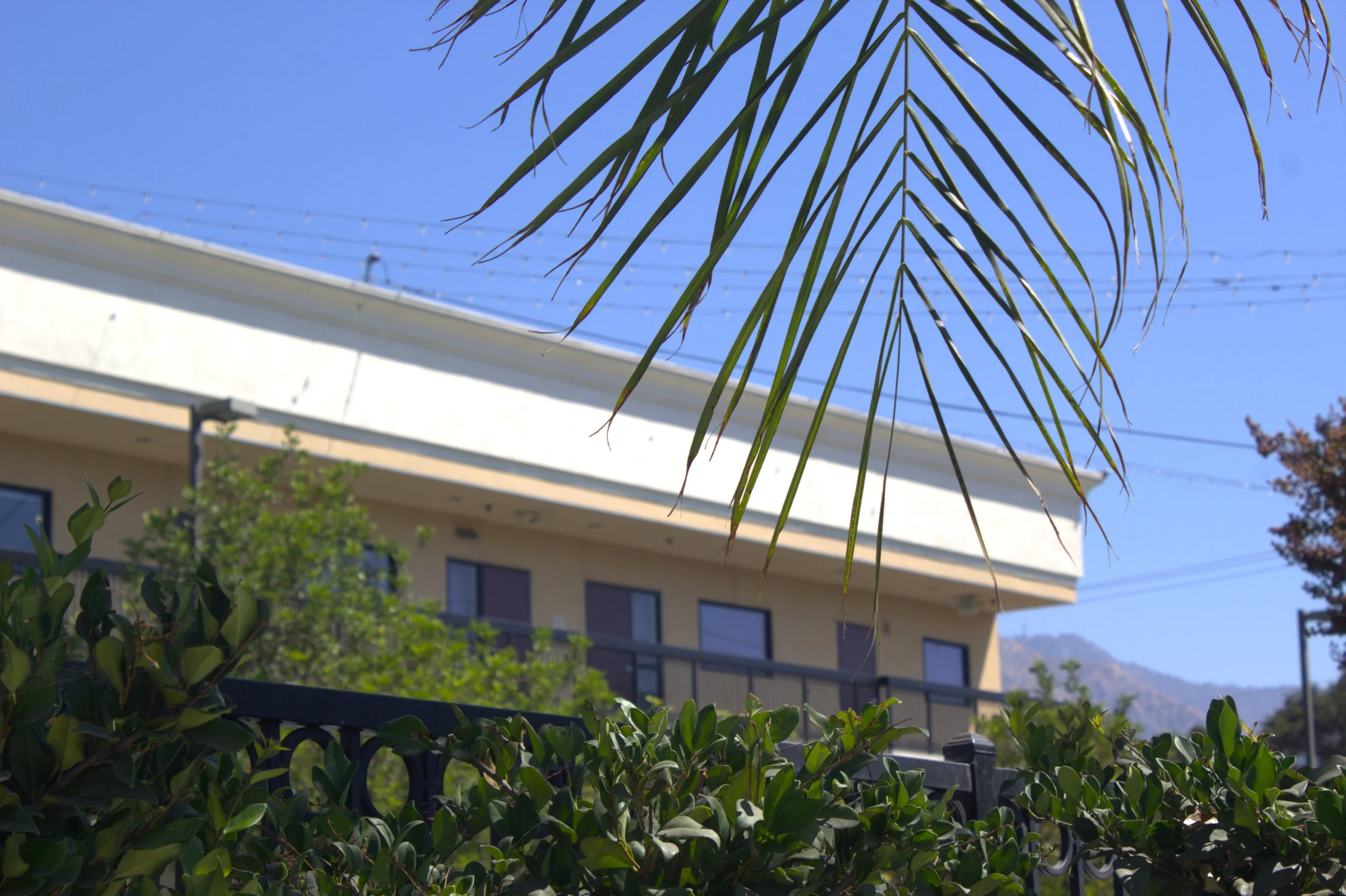 OCS South campus with greenery in front of it.