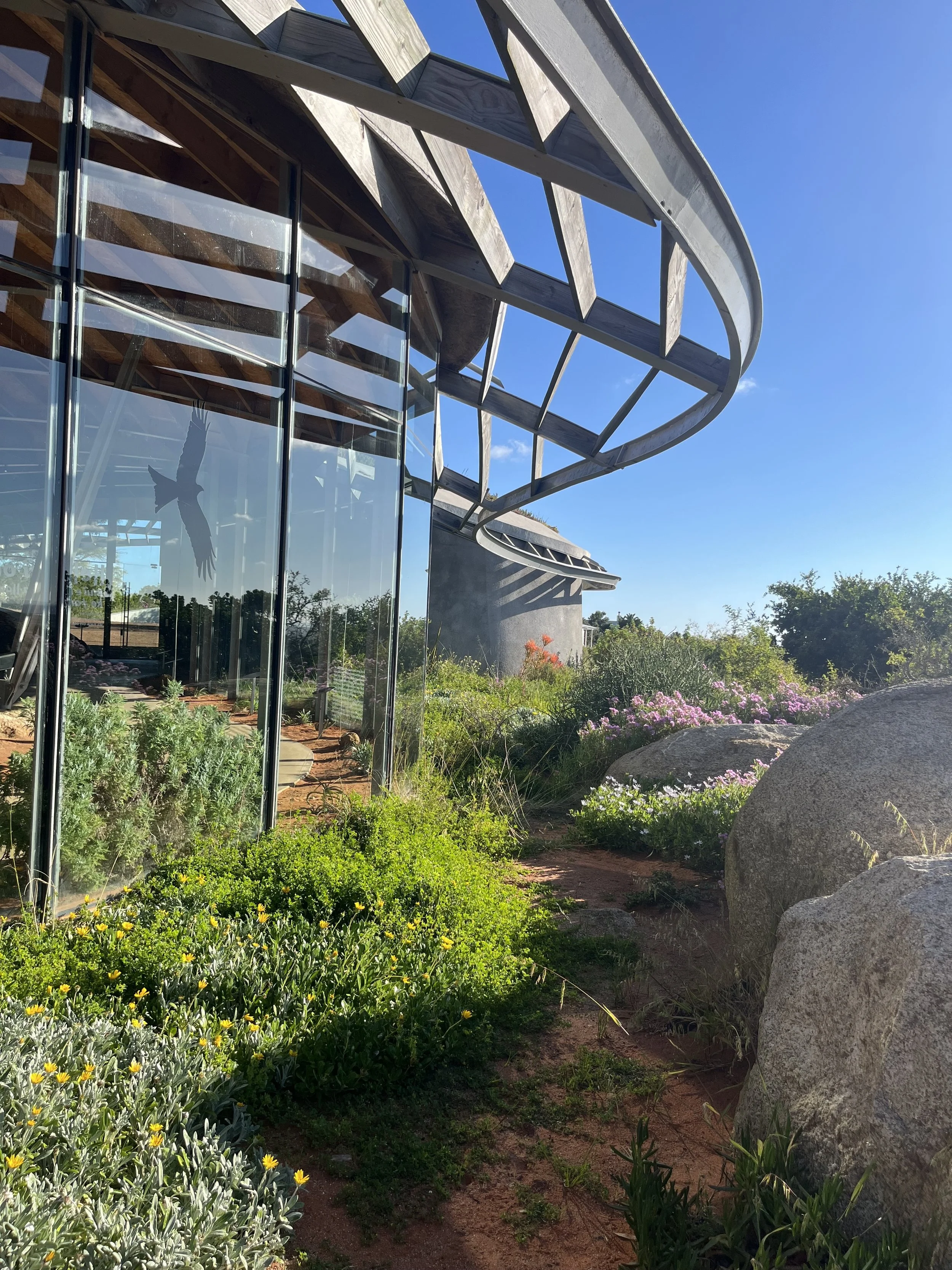 狩猟採集民である先住民族の文化に触れる