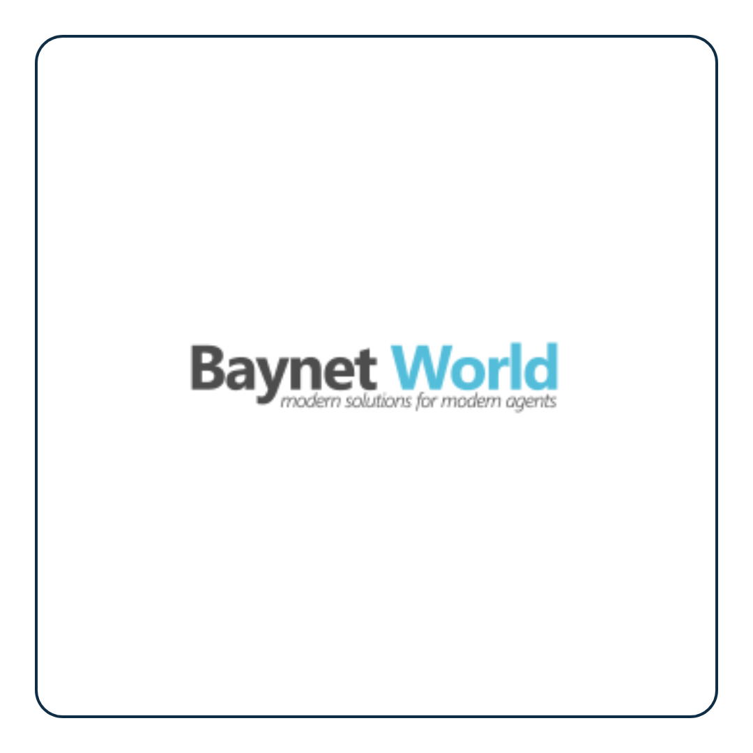 Baynet World.png