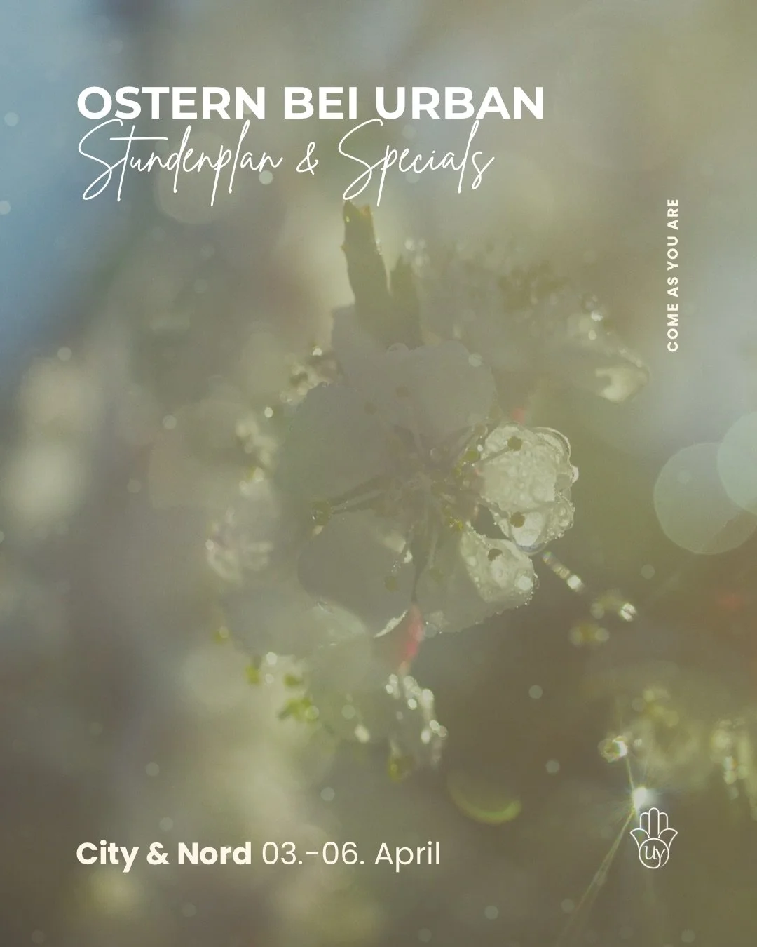 🌸 Dein Ostern bei Urban: ein &Uuml;berblick &uuml;ber unseren Stundenplan und die Specials a den Feiertagen!
 In City und Nord warten viele Highlights auf euch &ndash; bucht euch gerne ein. 🌱

Und nat&uuml;rlich gibt es auch einige Einheiten f&uuml