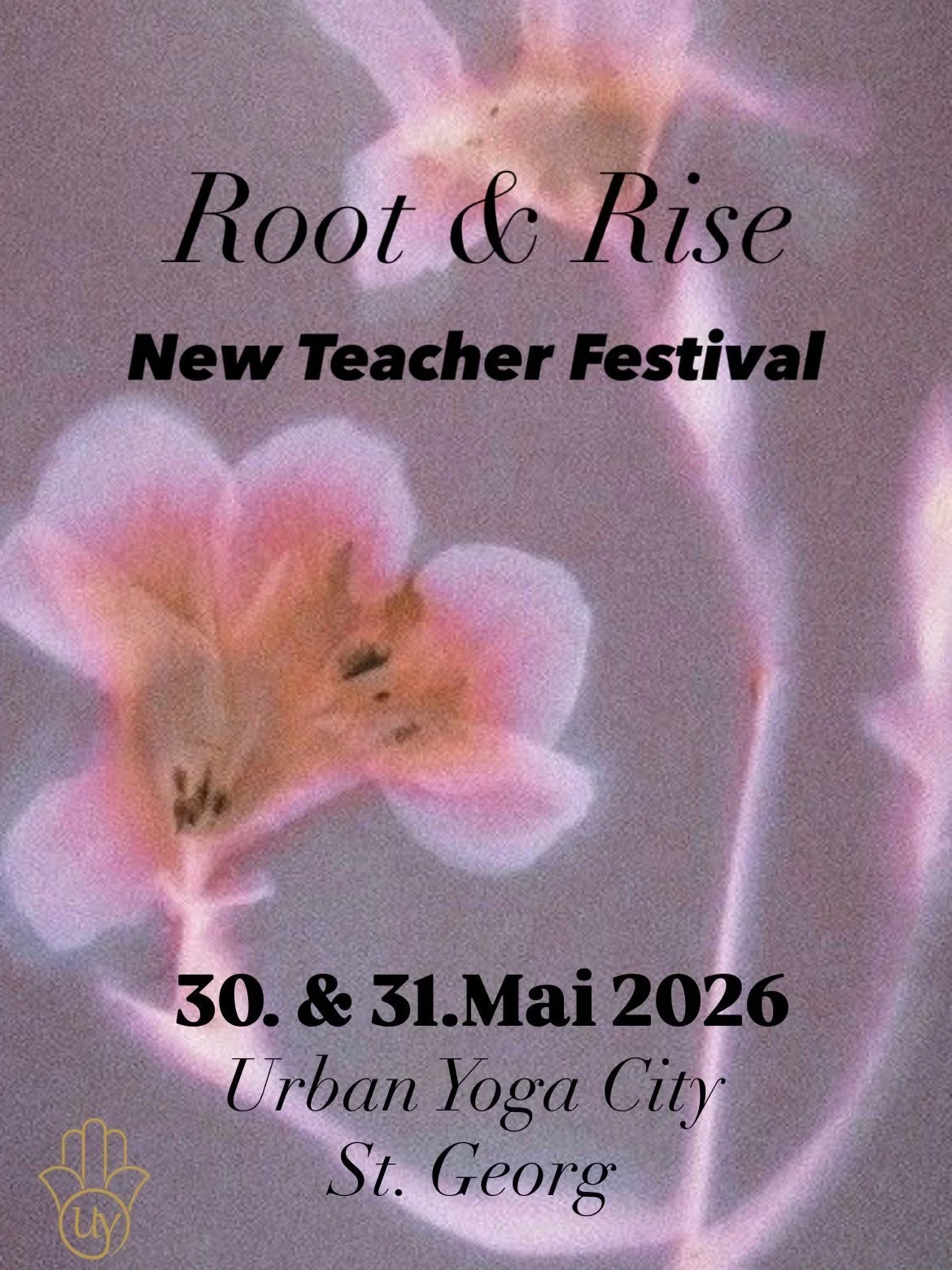 Root &amp; Rise New Teacher Festival&nbsp;