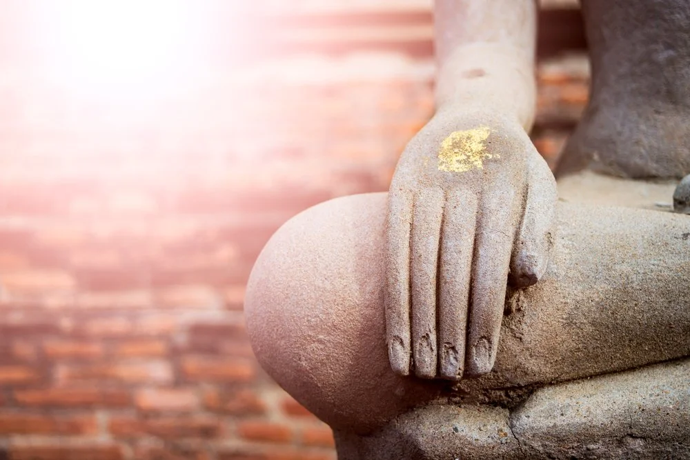 Mindfulness over Matter