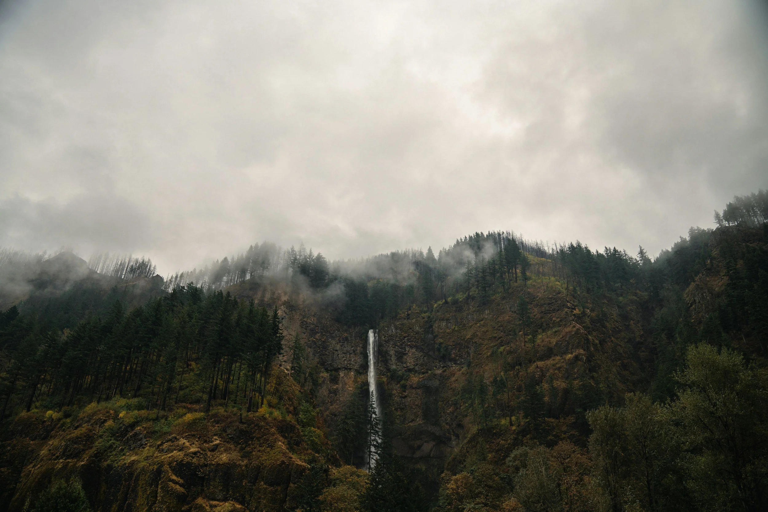 A mountain landscape with tall evergreen trees, a waterfall, and misty clouds, under a grey overcast sky.