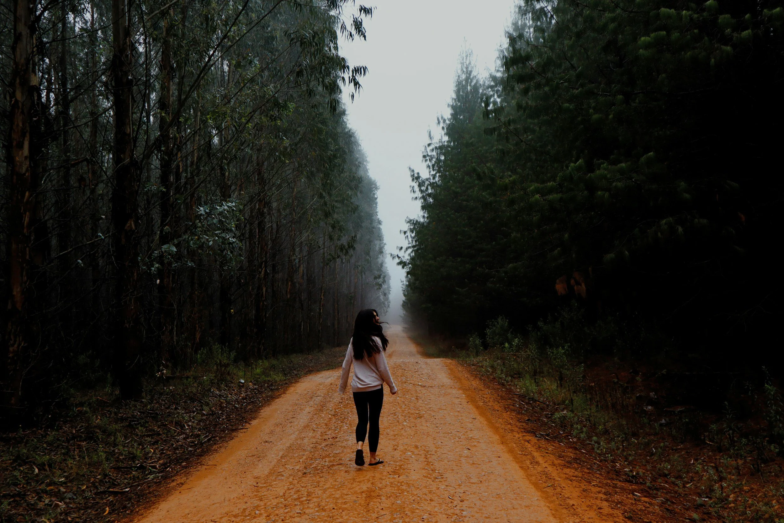 A woman walking on a dirt forest trail surrounded by tall trees with mist.