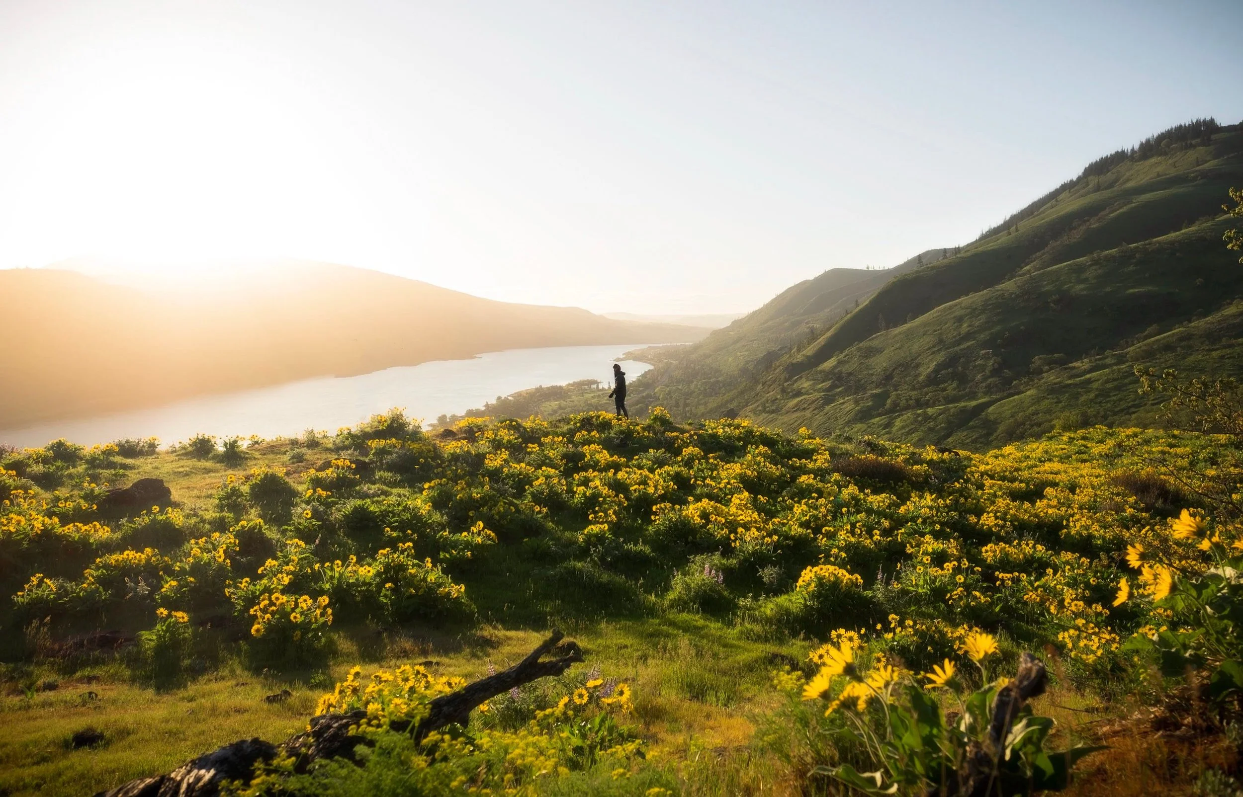 It's Okay Not to Know: What to Expect from Clinical Supervision as an Oregon CSWA