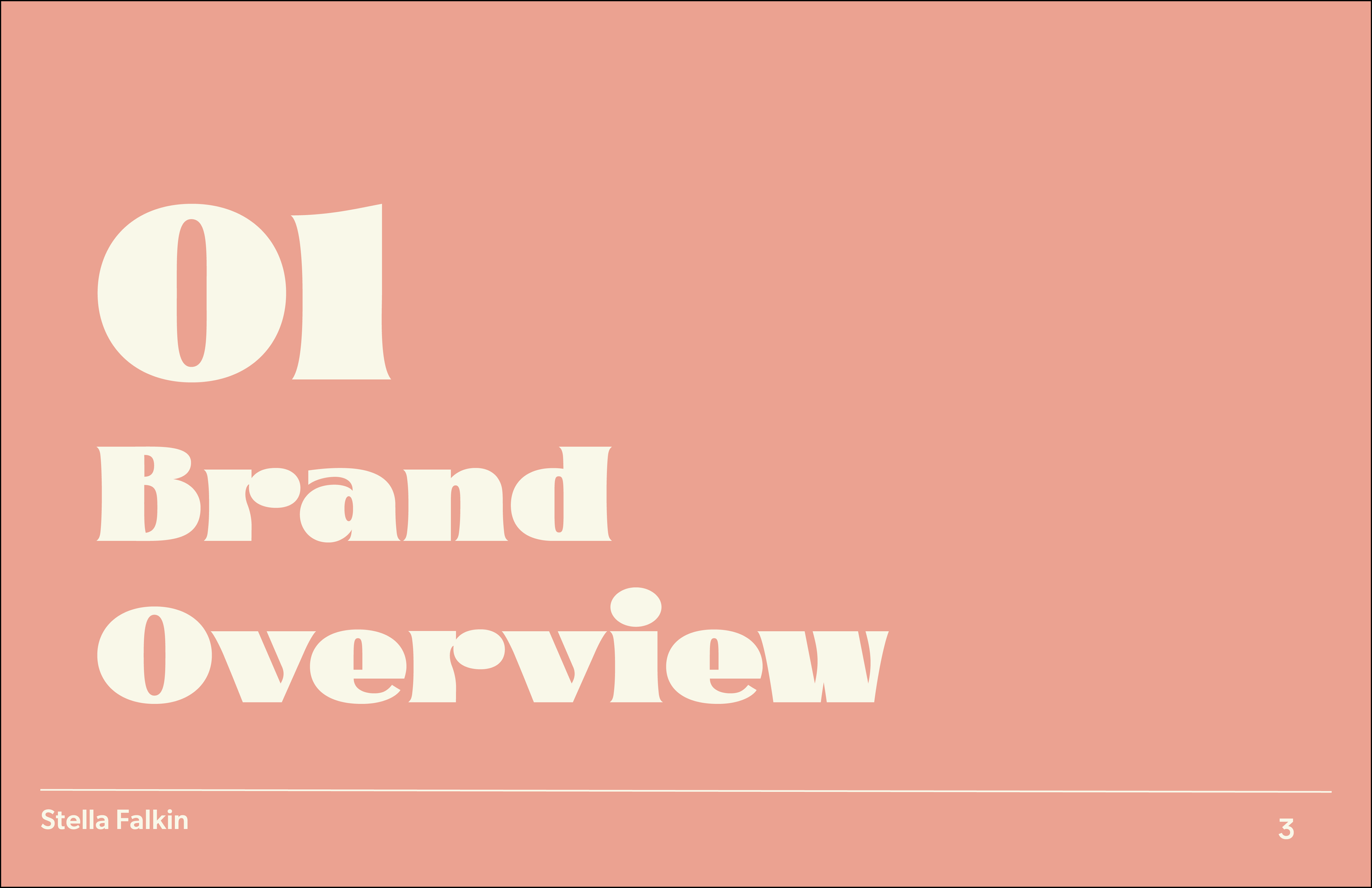 Project 3_brand guidelines 3.png