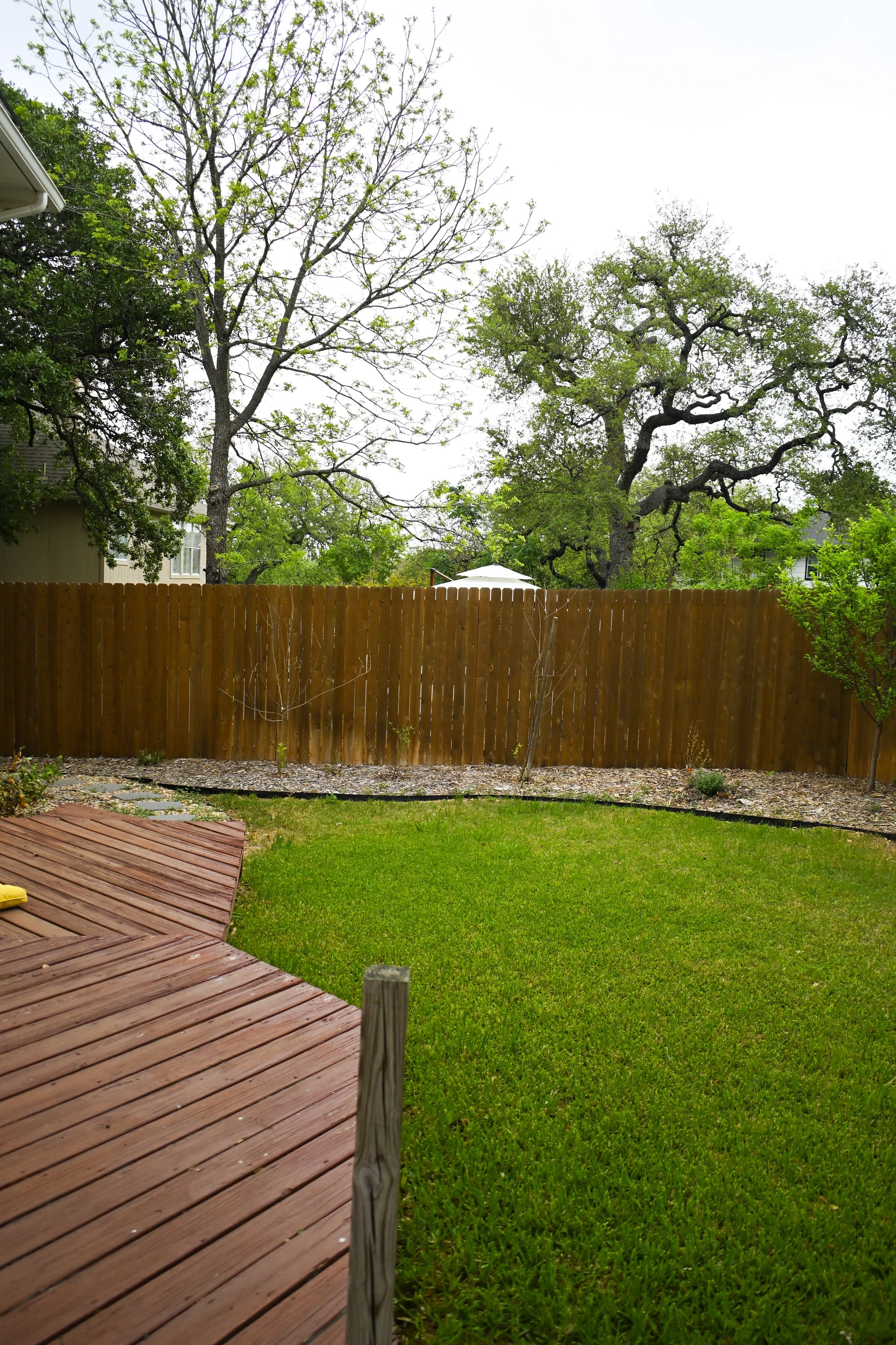 The backyard features a wooden privacy fence and fruit plants at Fireside Sober Living.