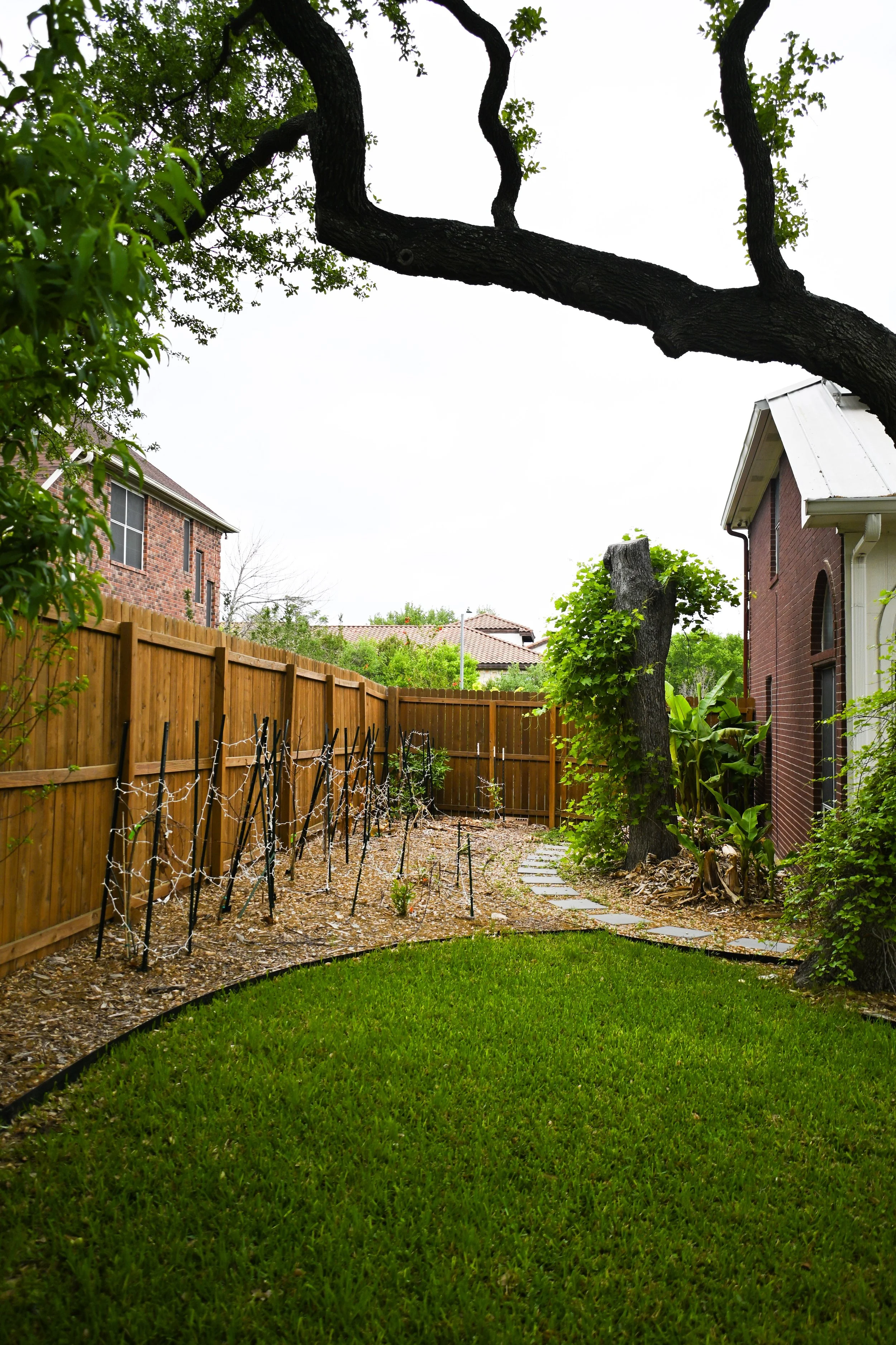 Beautiful large backyard at Fireside Sober Living.