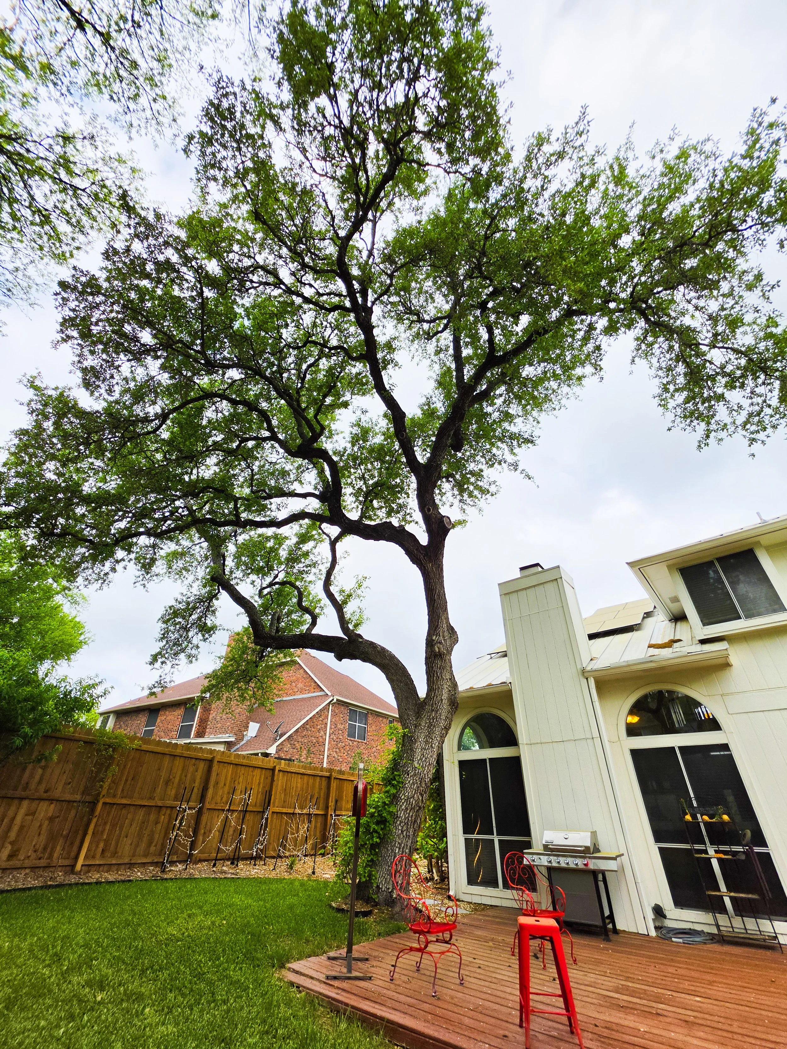 Backyard features a grill, seating, and plenty of space for games and gatherings.