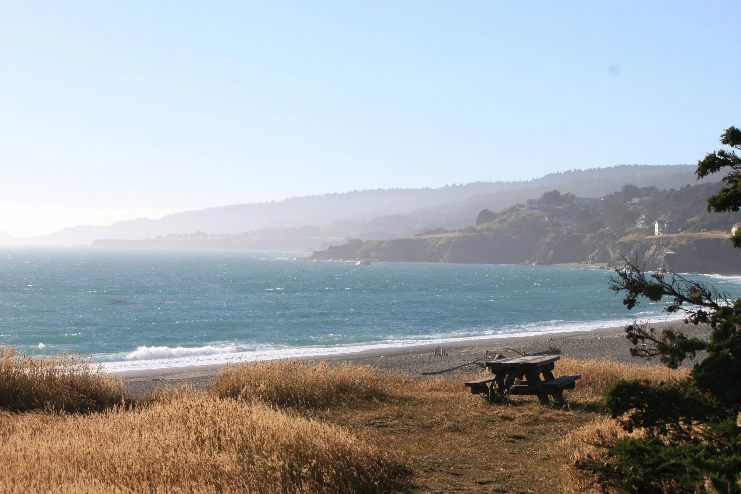 The beautiful south coast of Mendocino County with a sandy beach, grassy dunes, and calm ocean water under a clear sky. In the foreground, there is a weathered wooden picnic table and some trees on the right side.