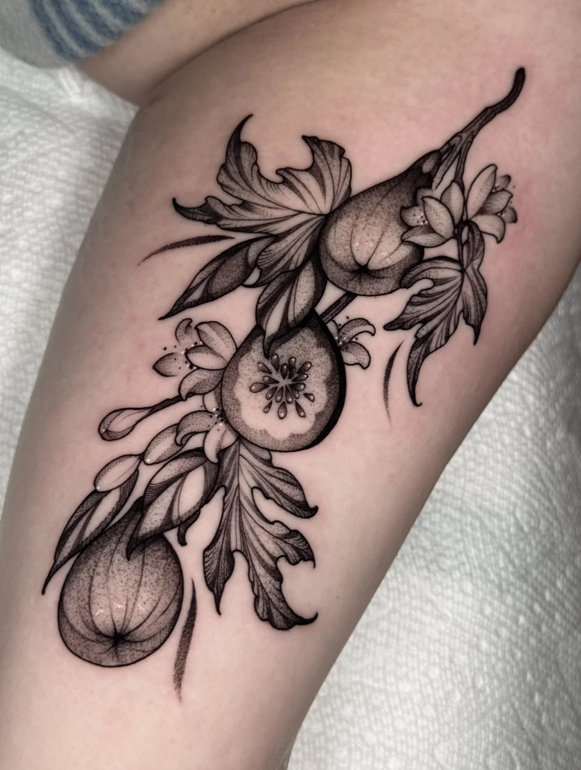Black and Gray Fig Plant Tattoo