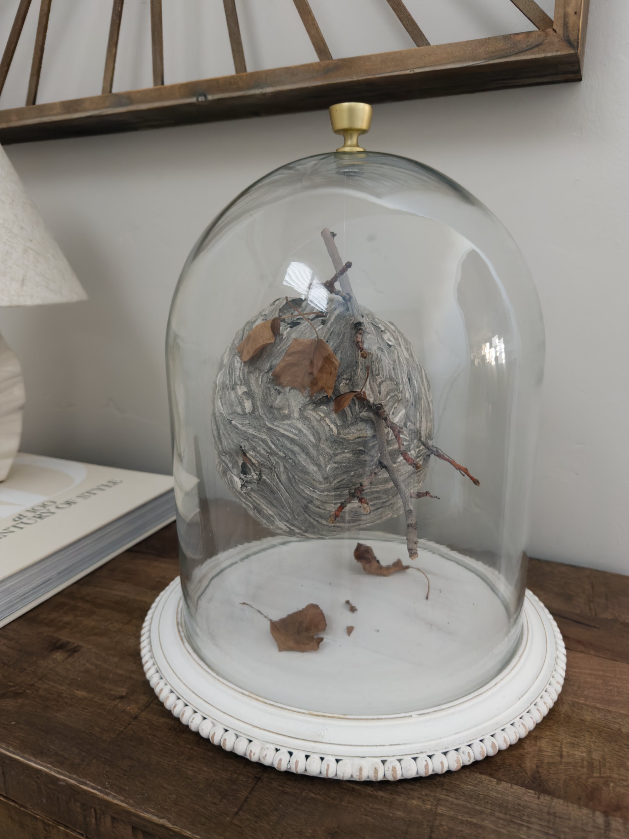 A decorative glass dome containing a spherical object wrapped with tree branches, twigs, and dried leaves, placed on a wooden surface with a white ornate base.