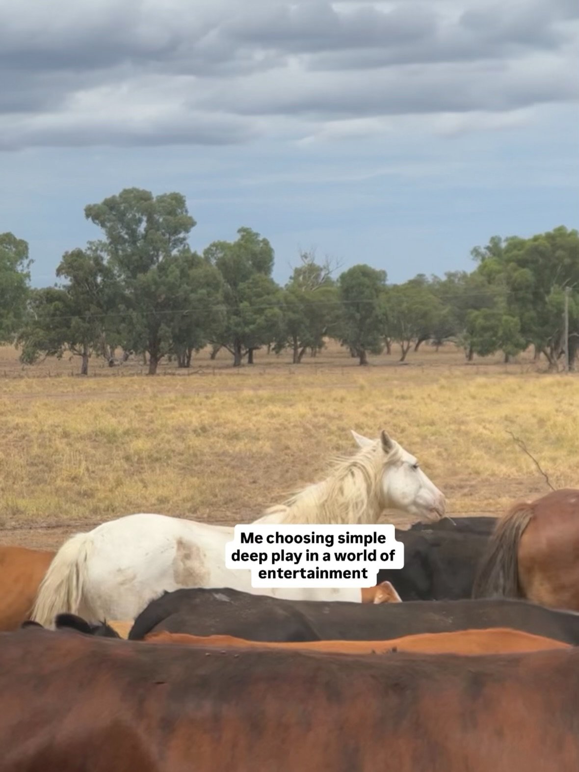 Pick your fighter ❤️&zwj;🩹❤️&zwj;🔥 #intentionalparenting