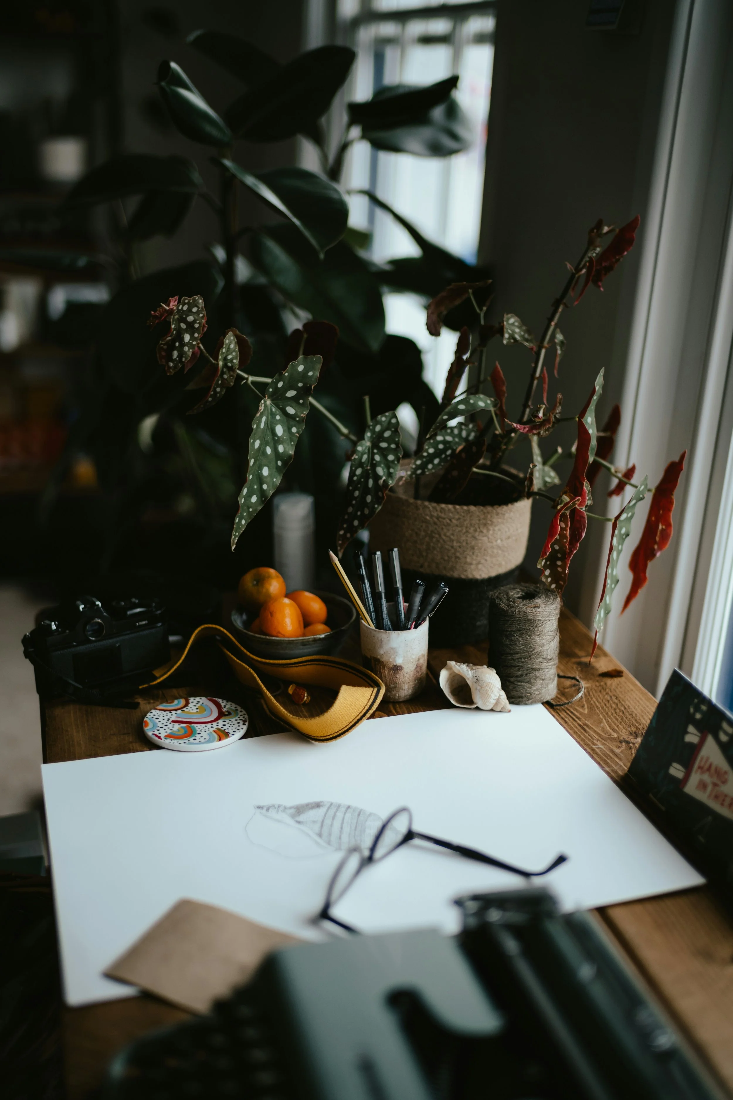 A cluttered wooden desk with a large white sheet of paper, eyeglasses, a pair of scissors, a few pens, yarn spools, and a shell. Behind the desk, there is a potted plant with large green and spotted leaves, and a bowl of oranges. The room is illuminated by natural light coming through a window.