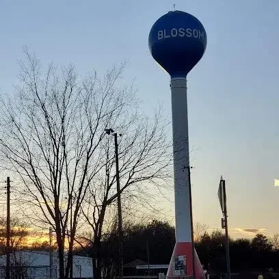 An outdoor scene during sunset featuring a tall water tower with the word 'BLOSSOM' written on it, leafless trees, utility poles, and a street sign.