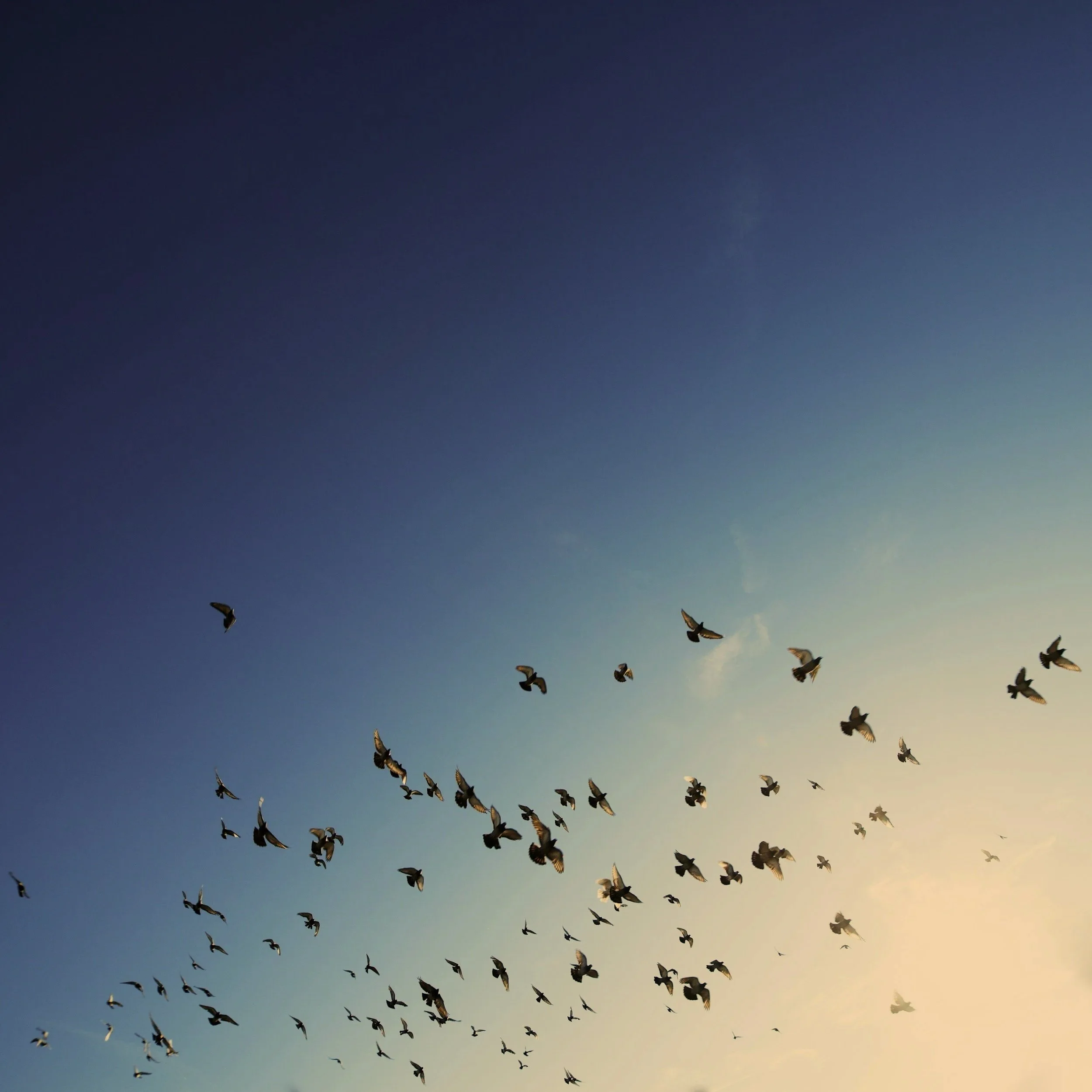 Communication Strategies for Job-Hugging Times