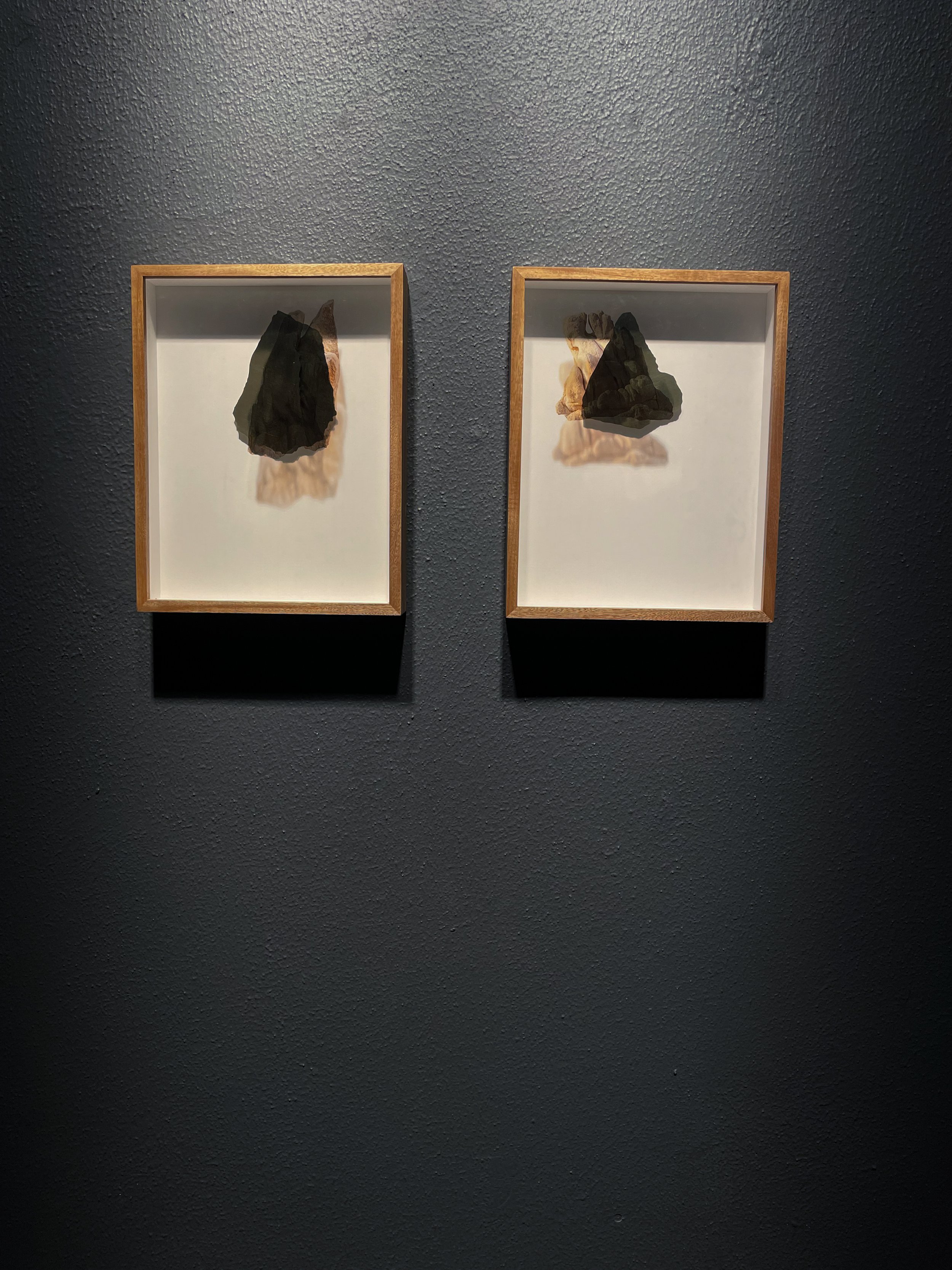 Antumbra I & II, (Las viudas)