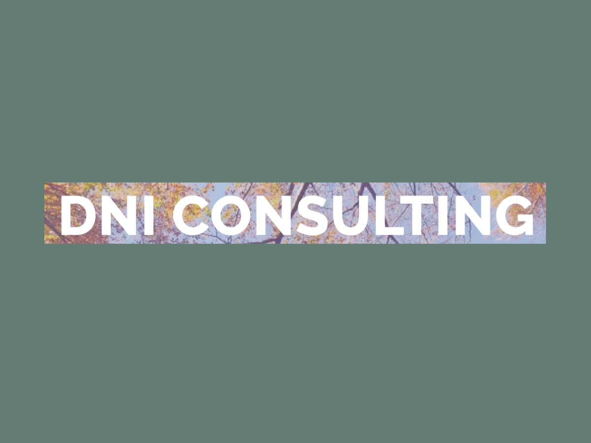 Text that reads 'DNI CONSULTING' over a background of tree branches with autumn leaves.