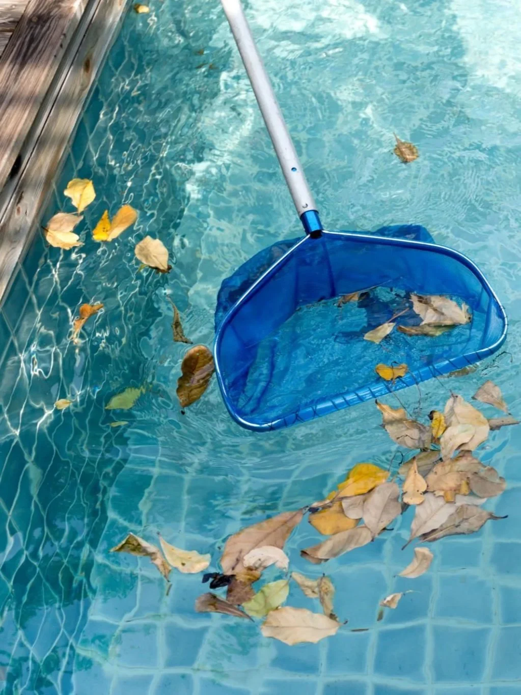 A pool skimmer with a blue net and handle resting on the pool's edge, surrounded by floating leaves on the water surface.