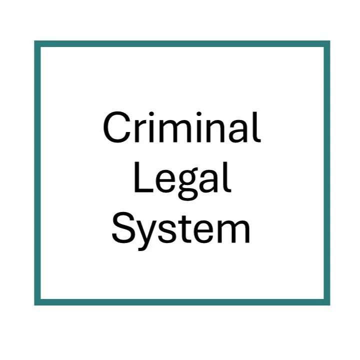 CAT - Criminal Legal System bc.jpg