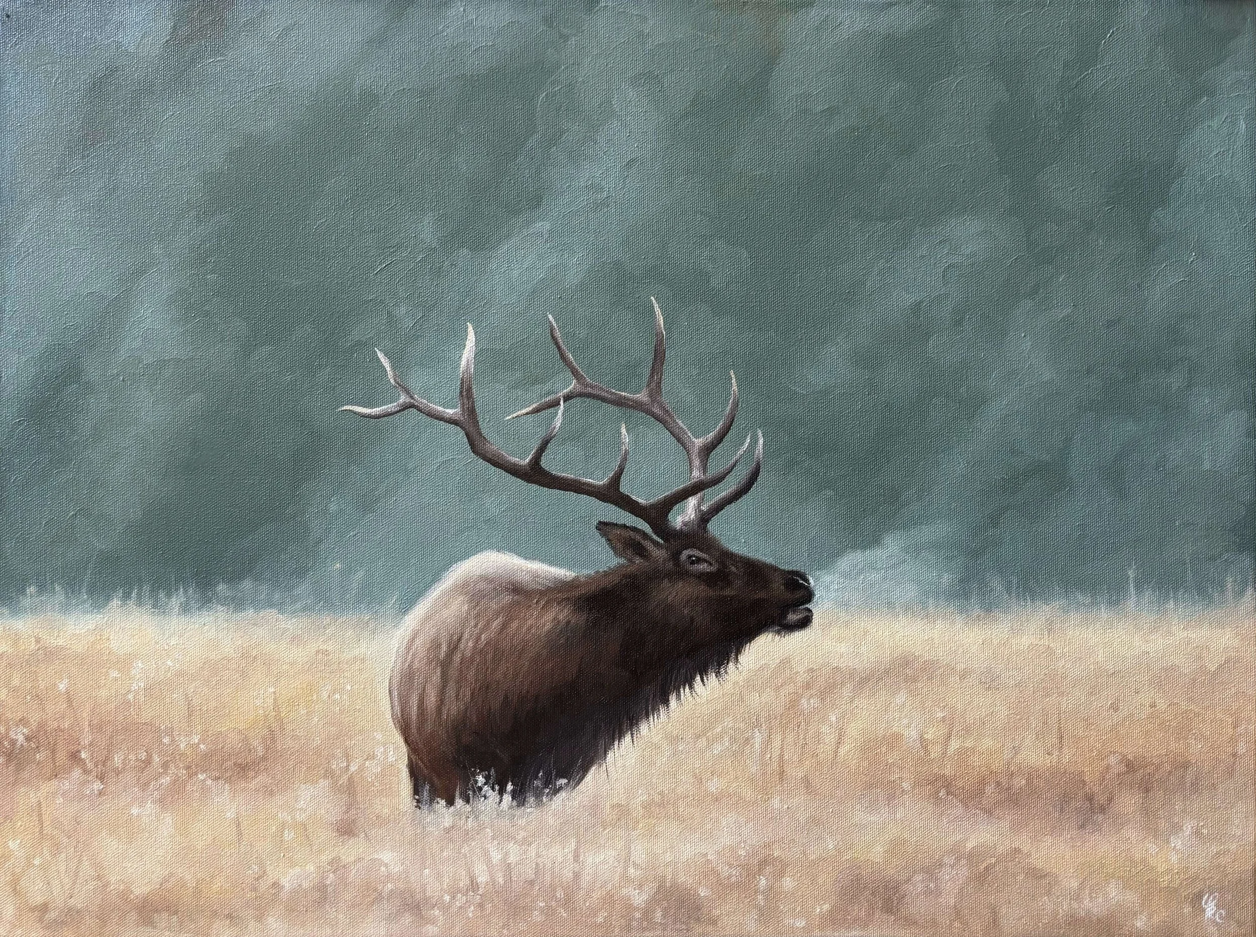 "Roosevelt" 18" by 24" oil on canvas