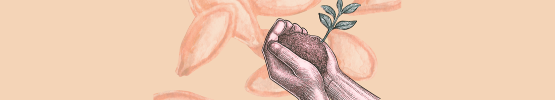 Something Old... Something New...