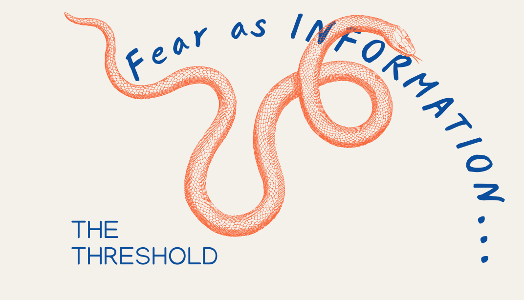 Fear as information....